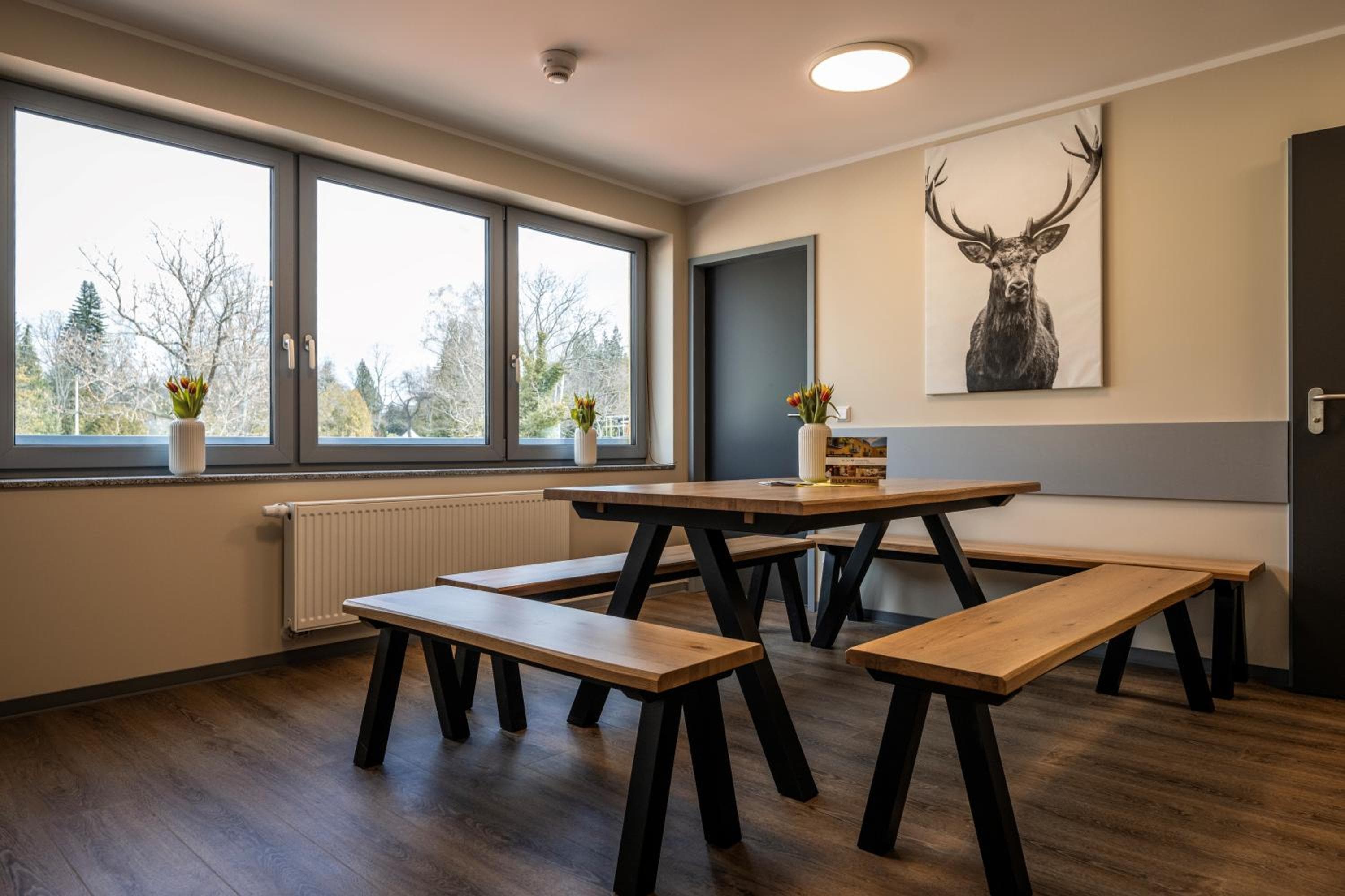 ELLY Hostel, Freiberg, photo 2