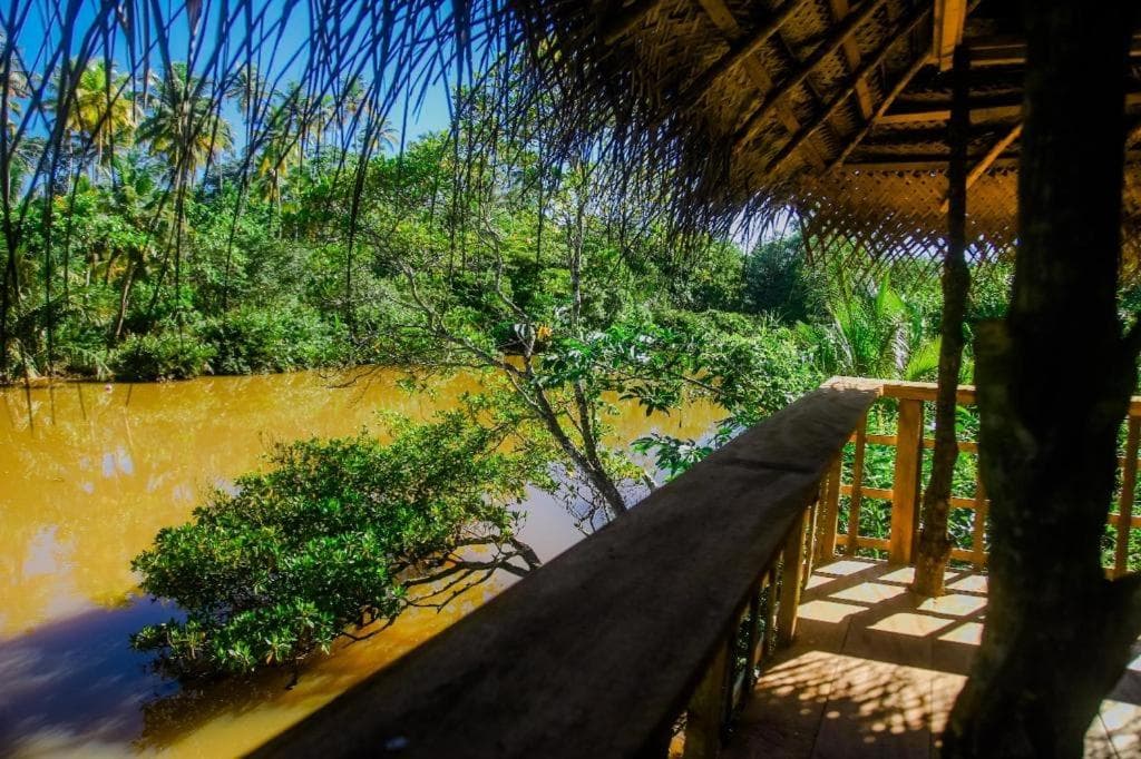 The Glade, Weligama, photo 2