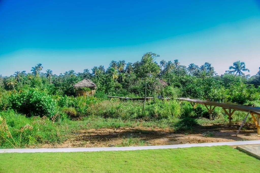 The Glade, Weligama, photo 3