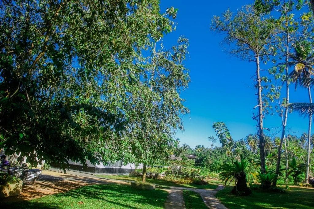The Glade, Weligama, photo 6