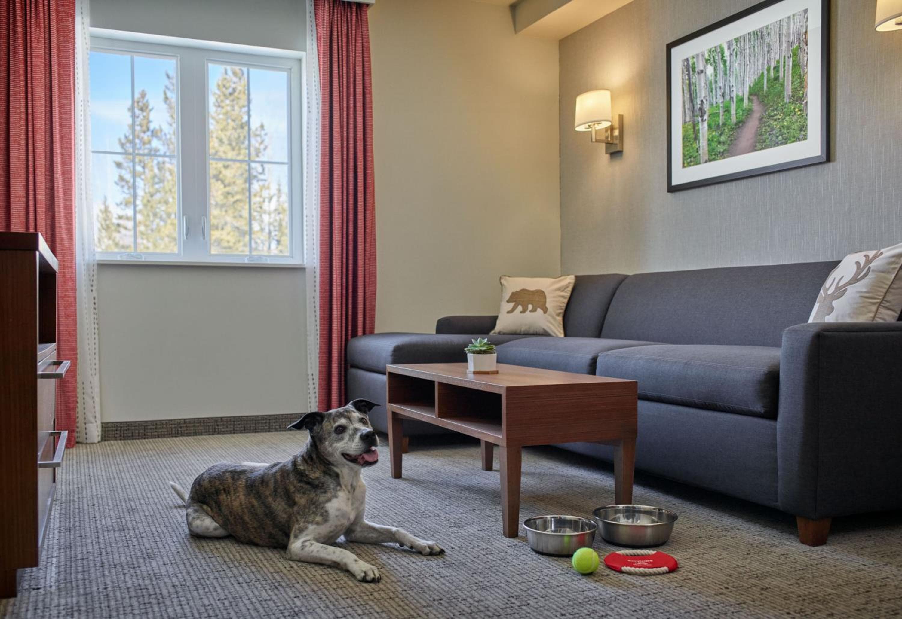 Residence Inn by Marriott Breckenridge, Breckenridge, photo 3