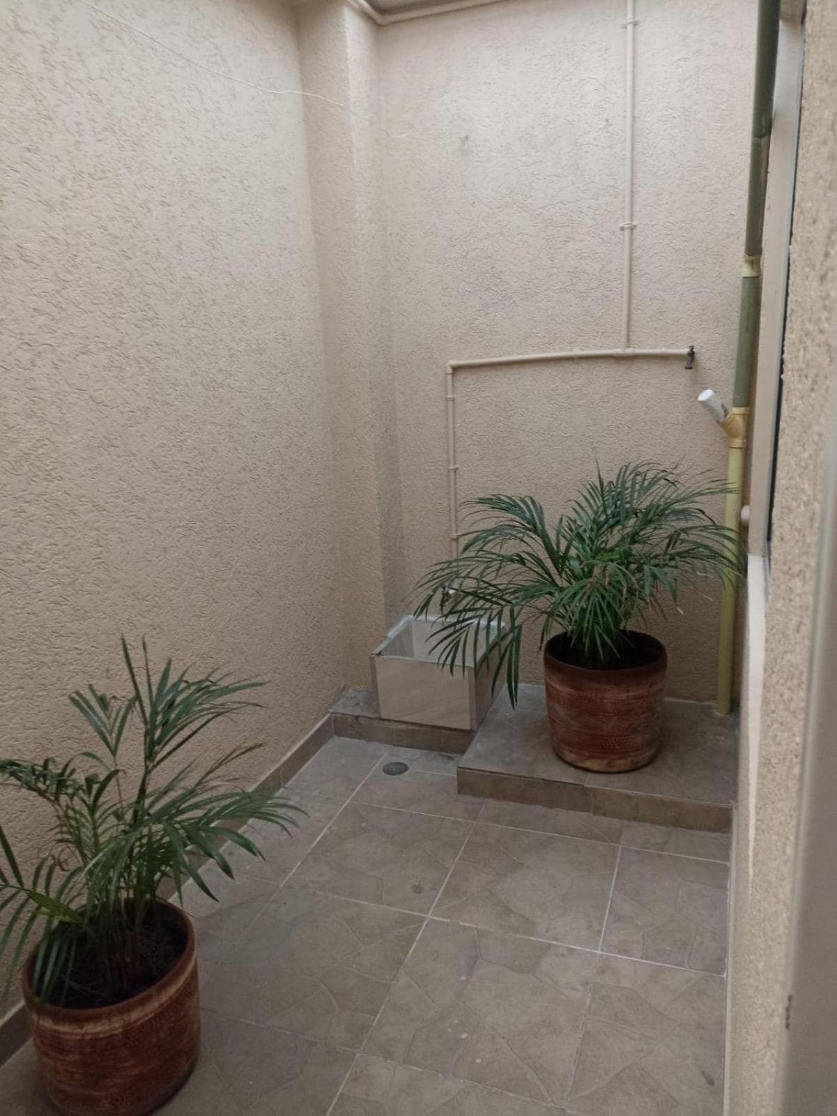 hotel koral palmira, Palmira, photo 6
