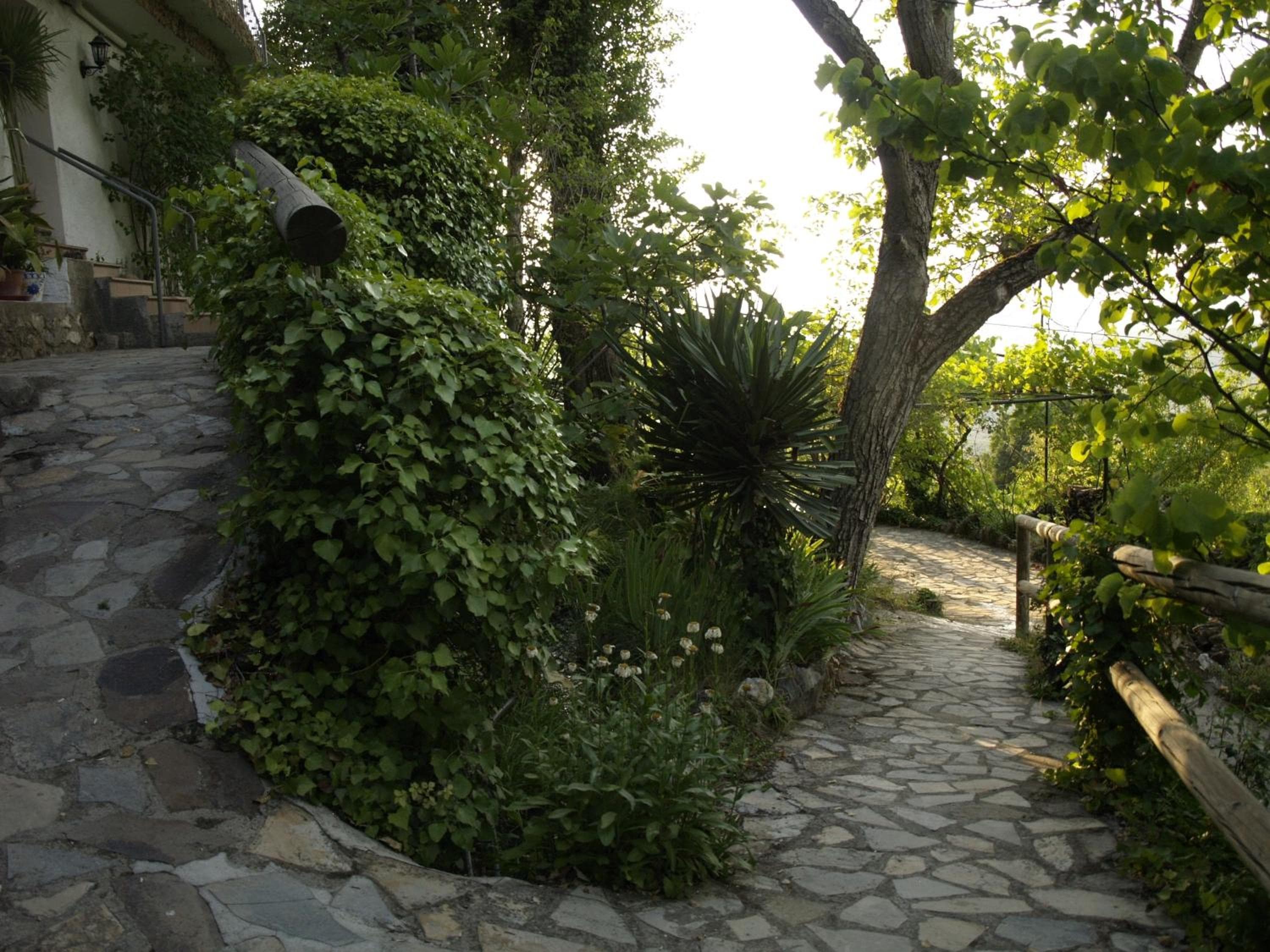 Apartamentos Arroyo Parrilla, La Iruela, photo 4