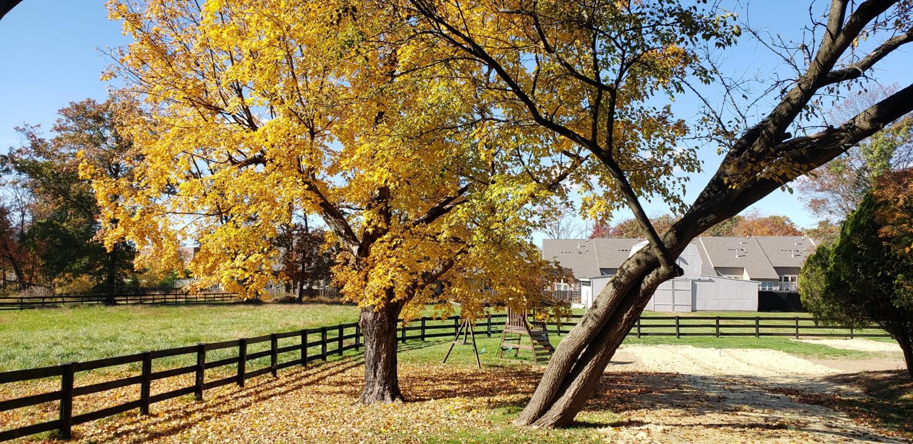 The Rest at Potomac Farms, Ashburn, photo 5