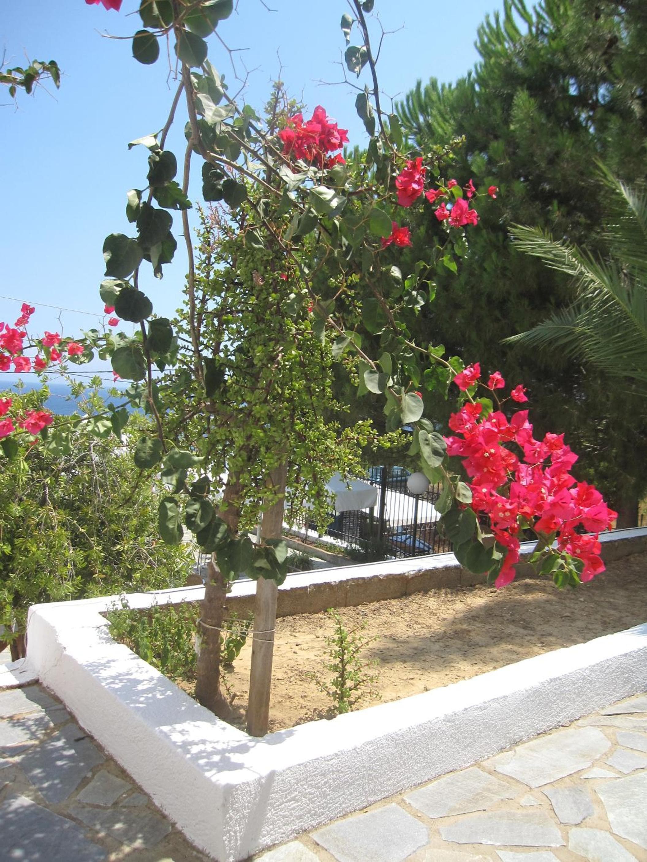 Travlos Studios, Póros Kefalonias, photo 4