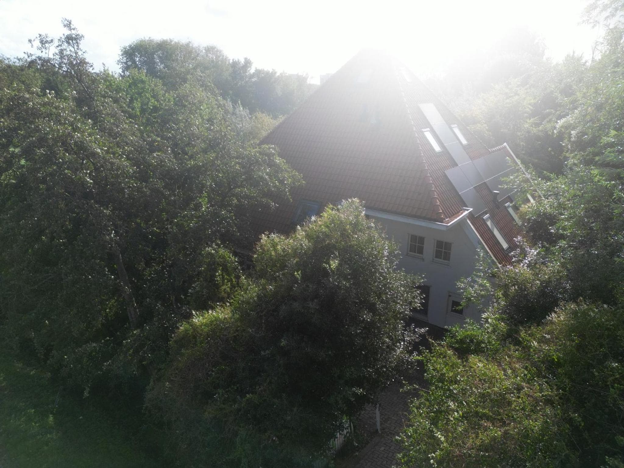 Inn Het Nest, Amsterdam, photo 6