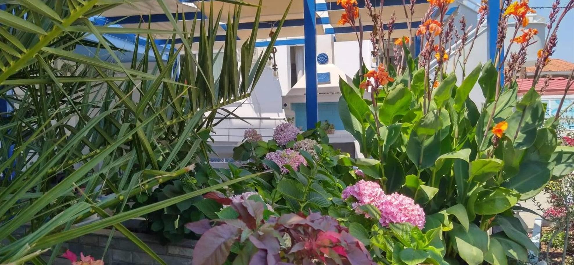 Celeste Deluxe Apartments, Skala Potamias, photo 6