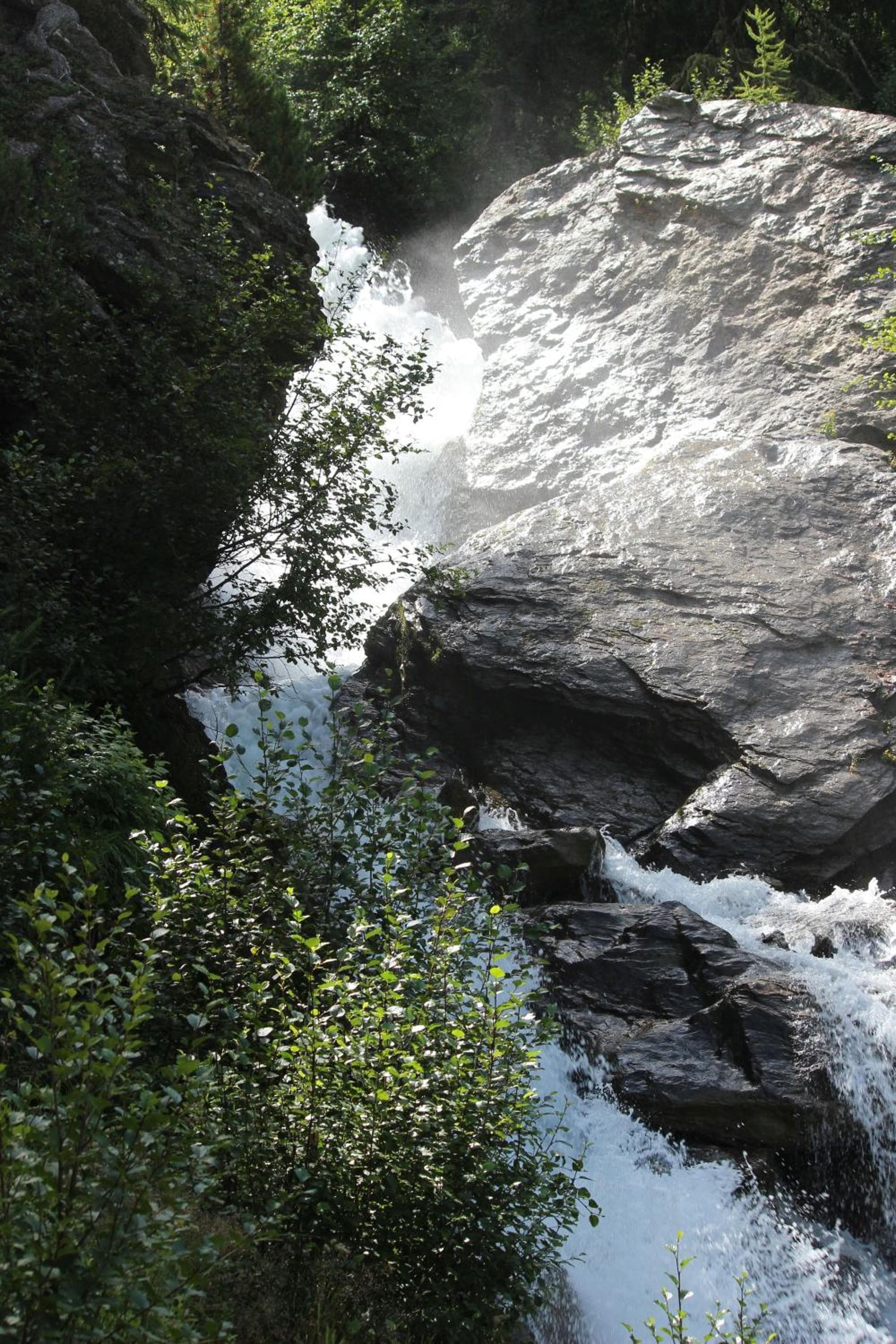 Alpenrose, Martello, photo 2