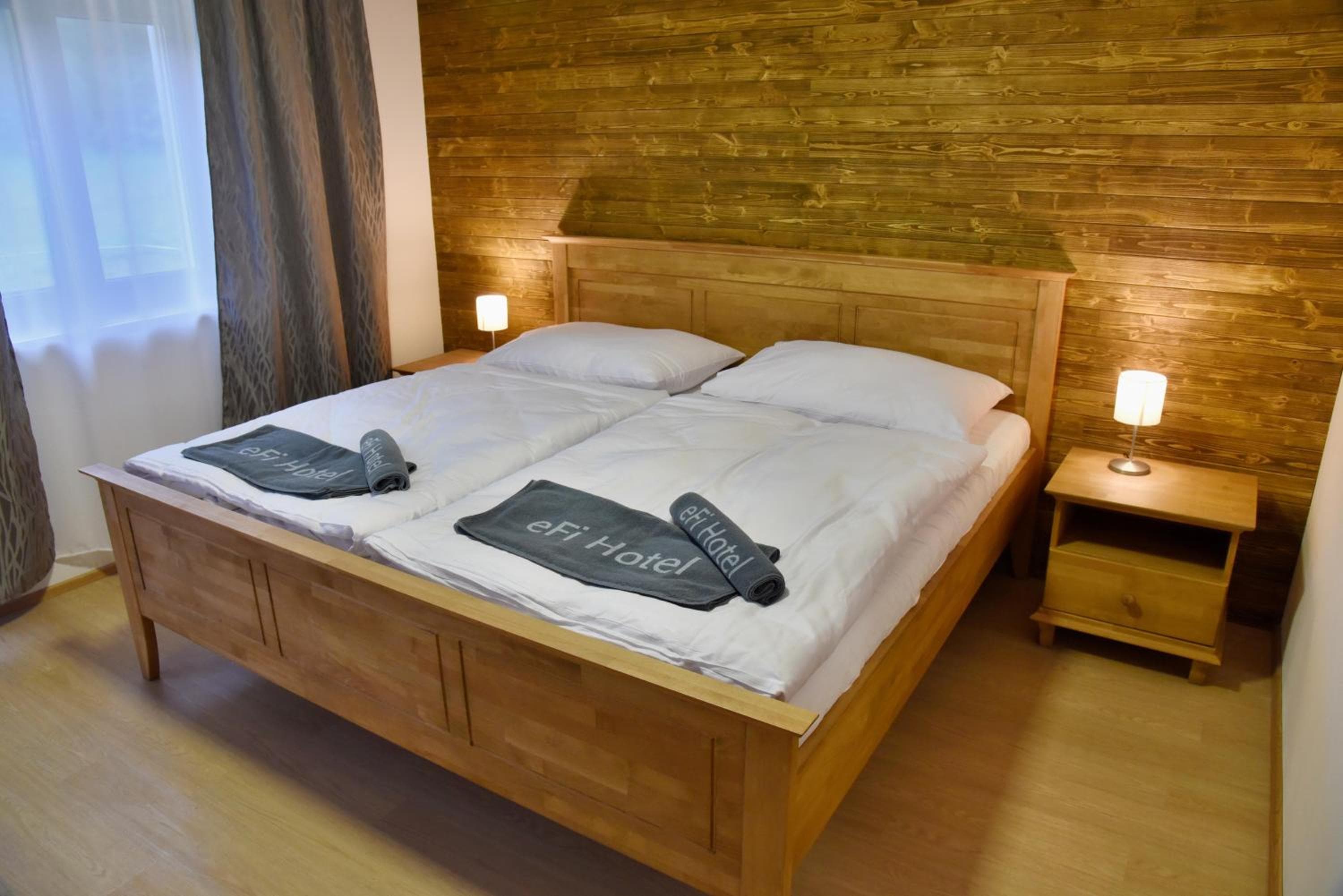 EFI ApartHotel Horní Lipová, Lipova Lazne, photo 5