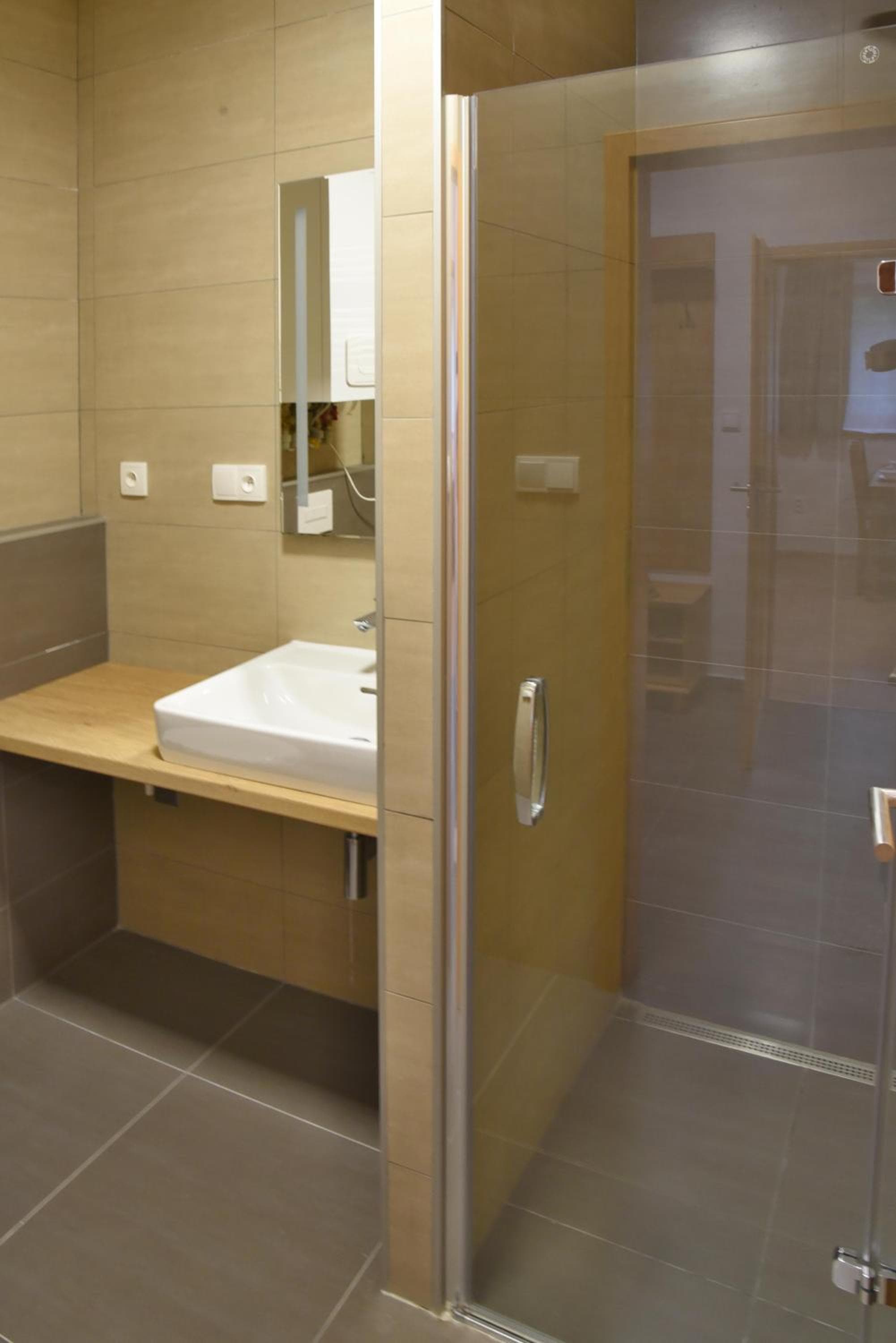 EFI ApartHotel Horní Lipová, Lipova Lazne, photo 2