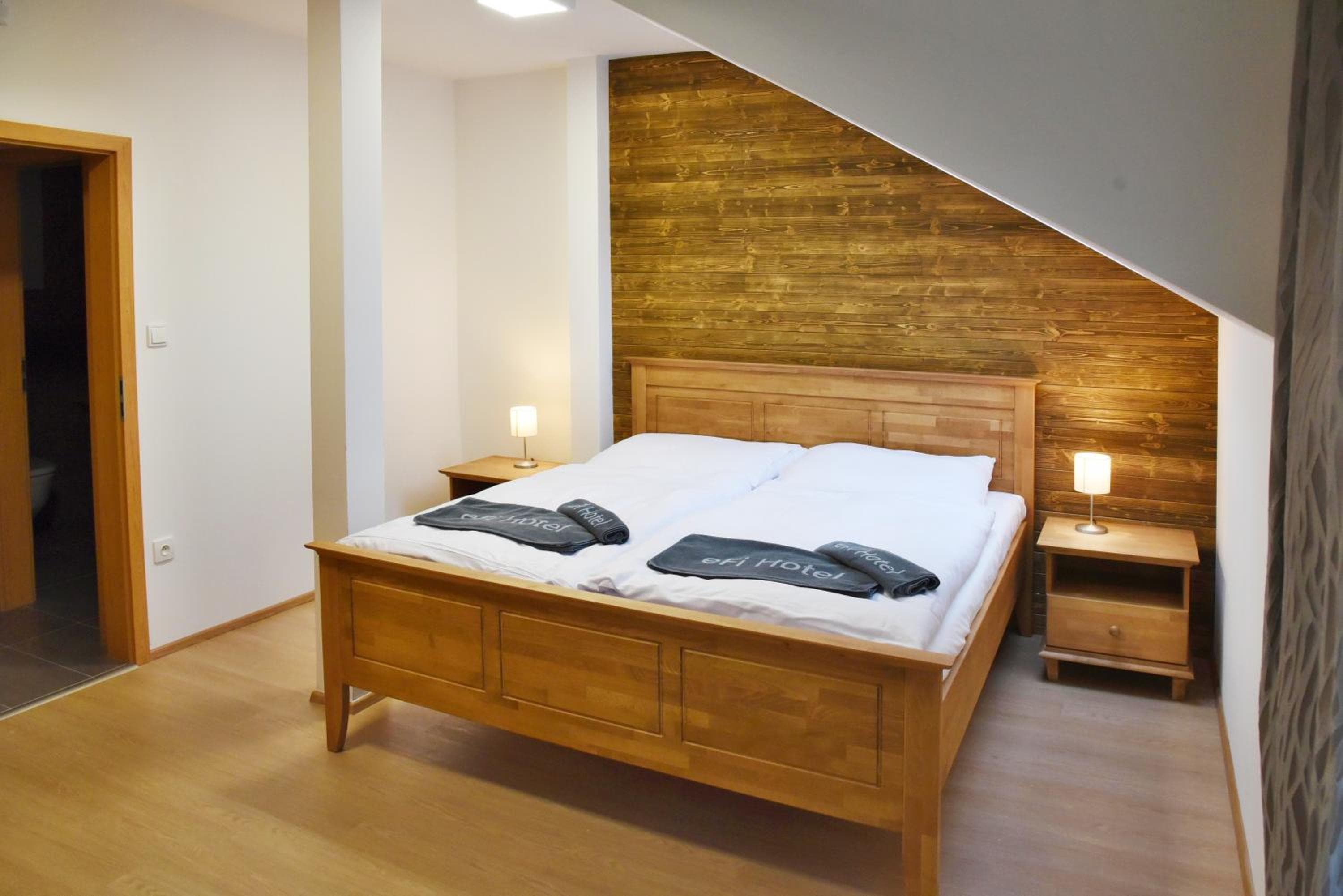 EFI ApartHotel Horní Lipová, Lipova Lazne, photo 4