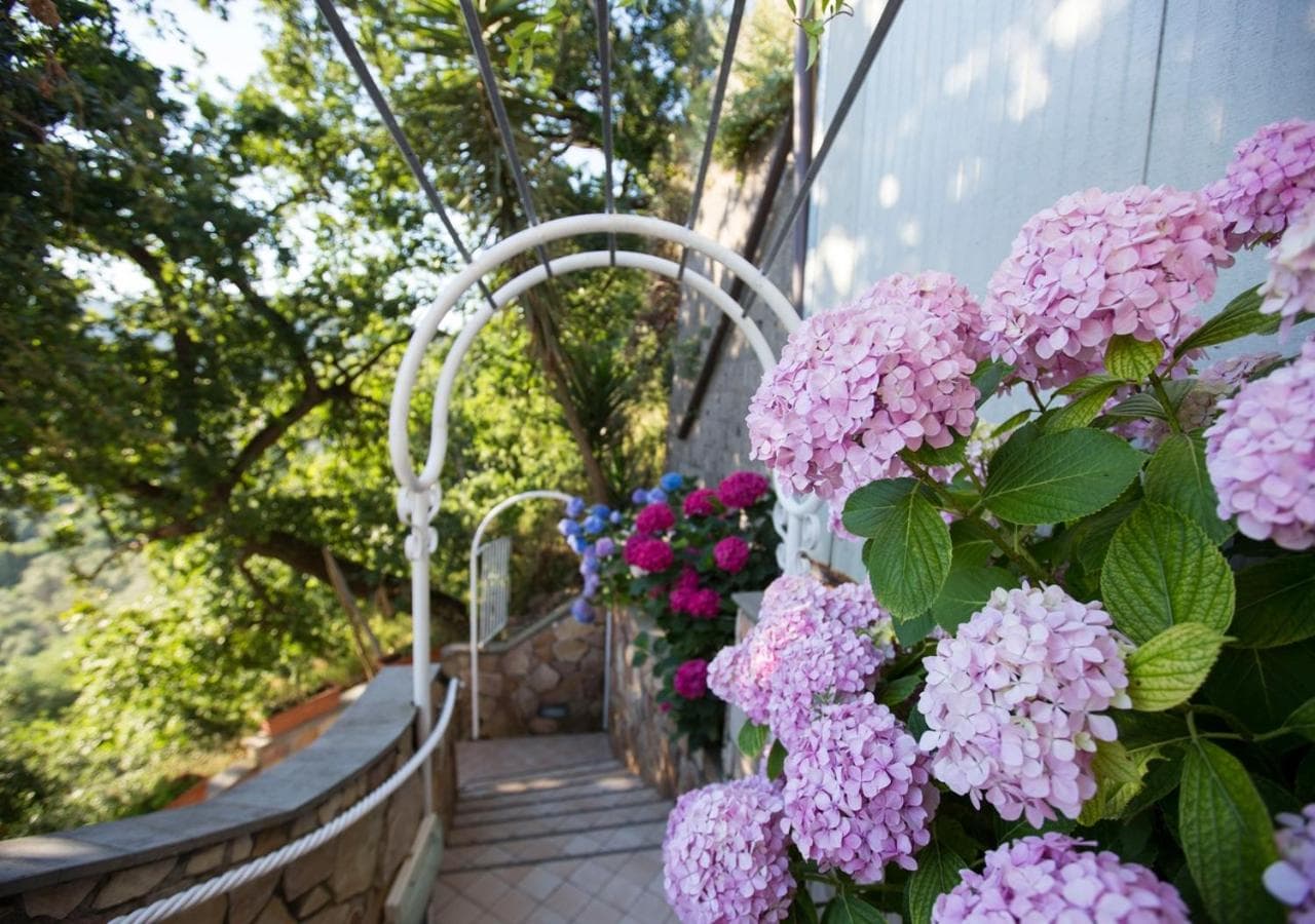 Residence Le Terrazze, Sorrento, photo 5