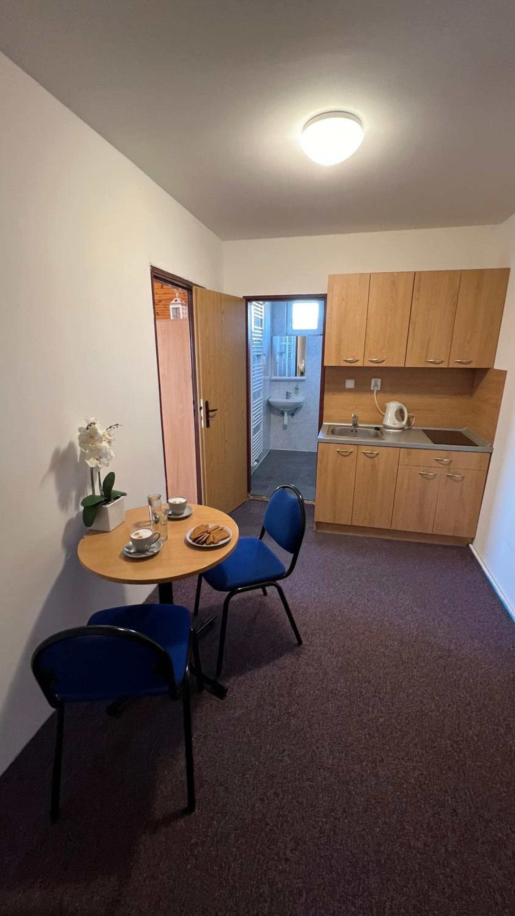 Apartmány chata Samoty, Železná Ruda, photo 5