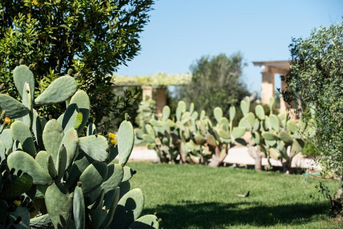Borgo Rosso Terra, Gallipoli, photo 5