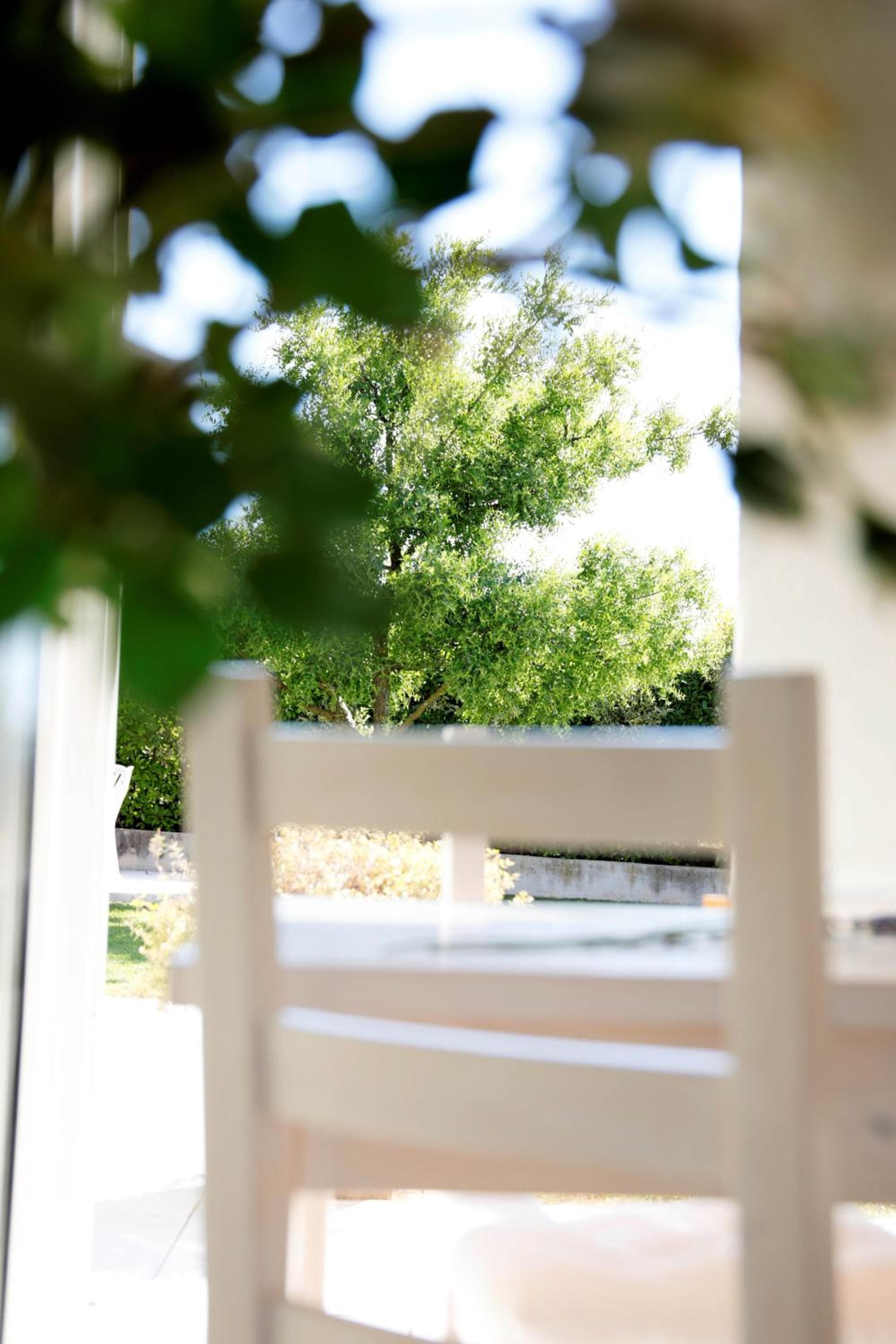 Residence Gonda&Giuliano, Borso del Grappa, photo 4