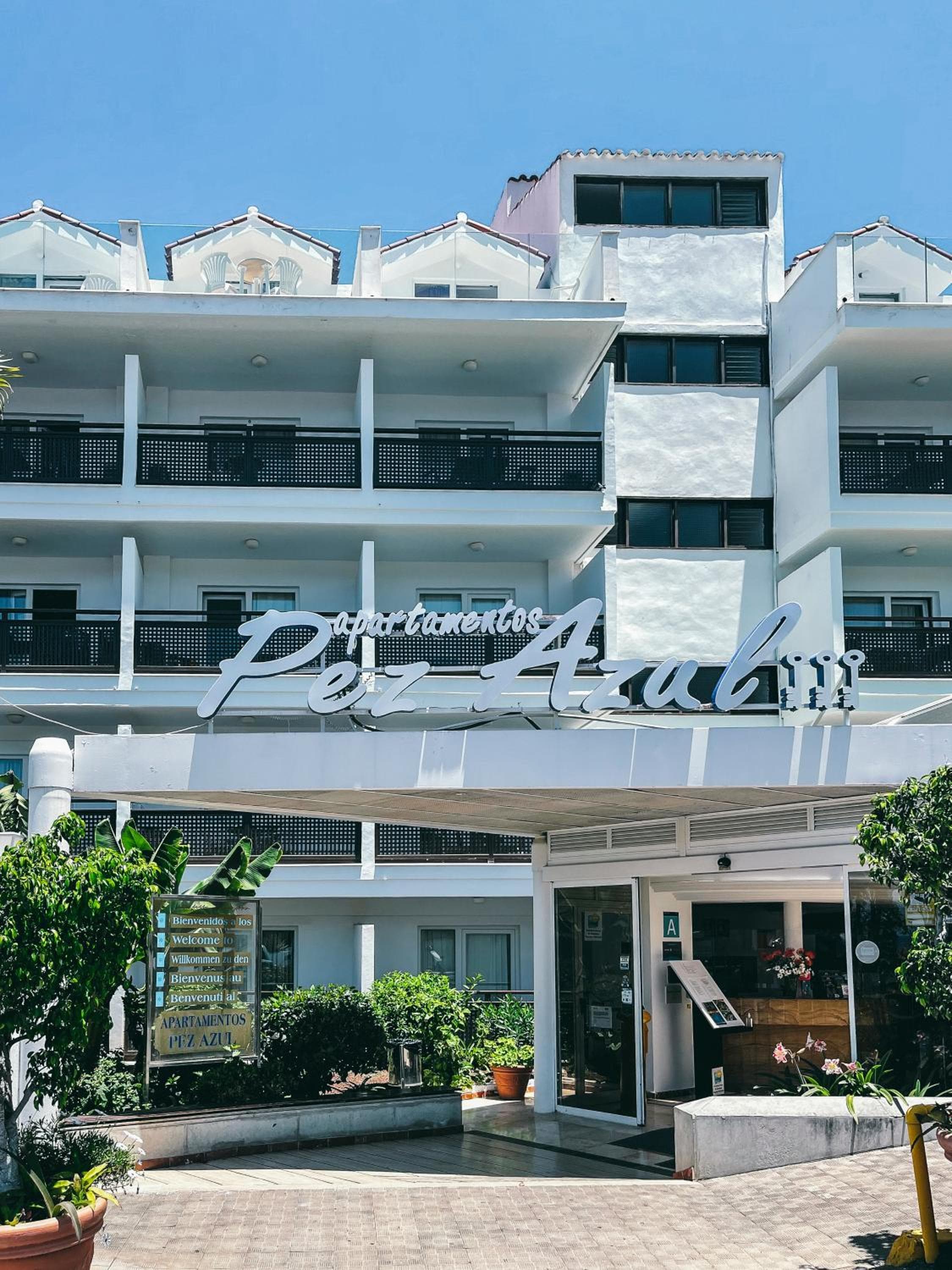 Apartamentos Pez Azul, Puerto de la Cruz, photo 5
