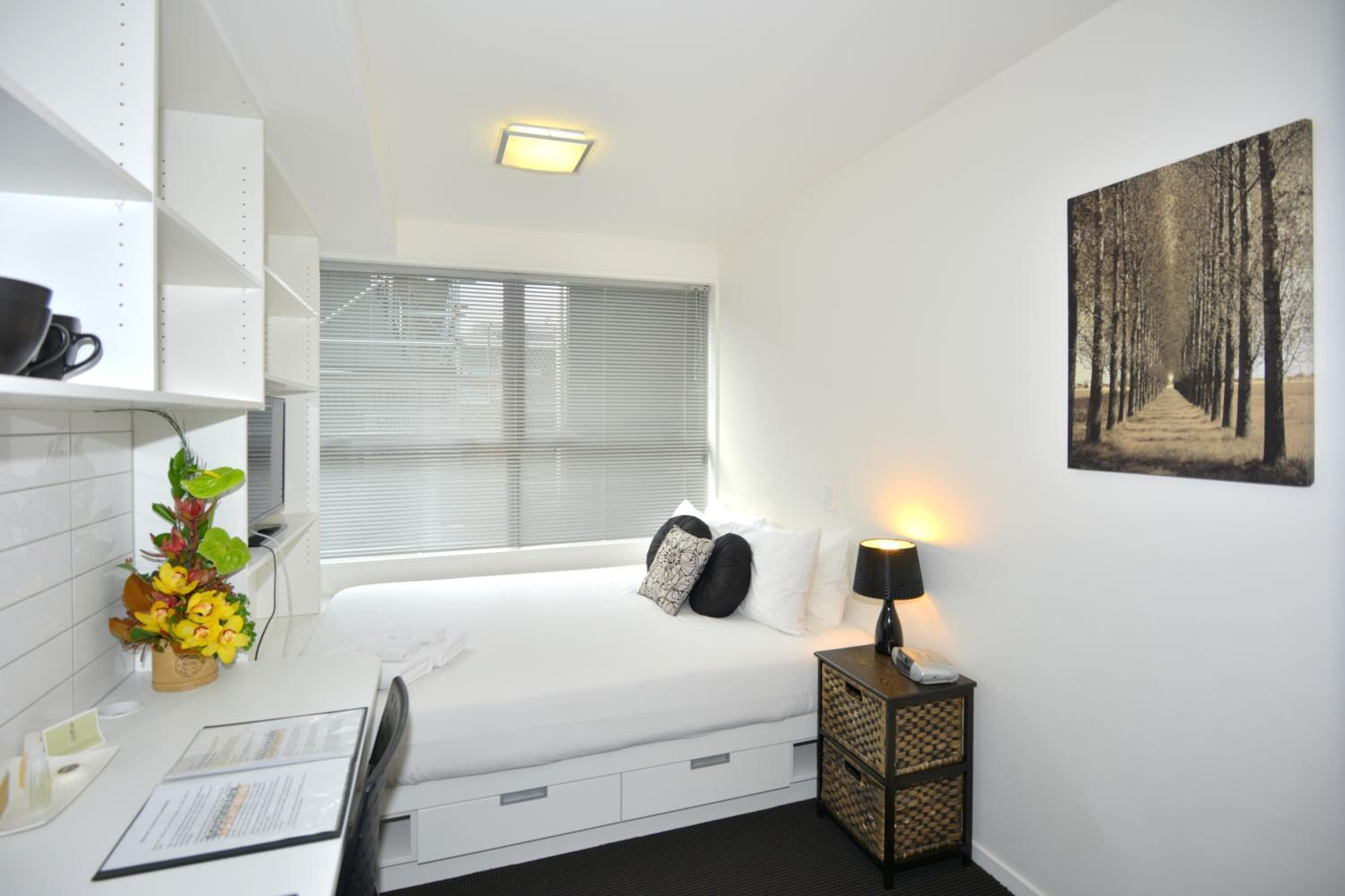 Southwark Hotel & Apartments, Christchurch, photo 6