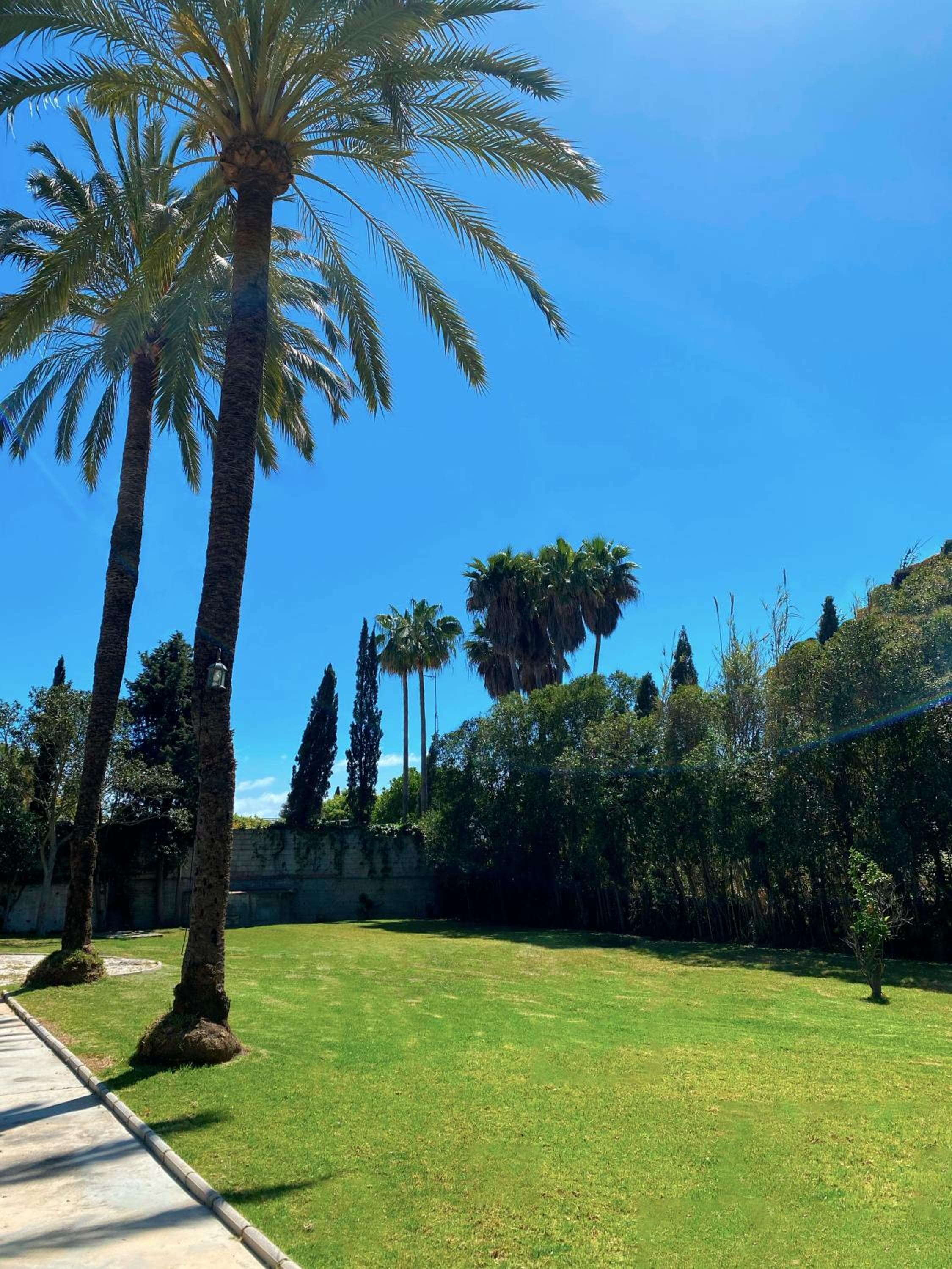 Cortijo La Saleta Banús, Marbella, photo 4