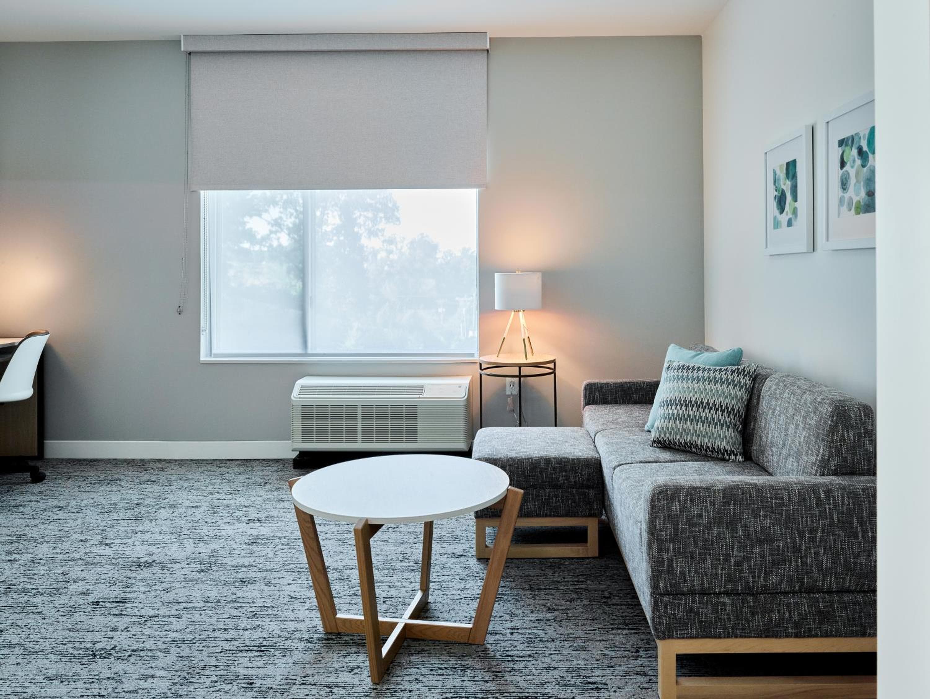 TownePlace Suites by Marriott Chattanooga South, East Ridge, Chattanooga, photo 6