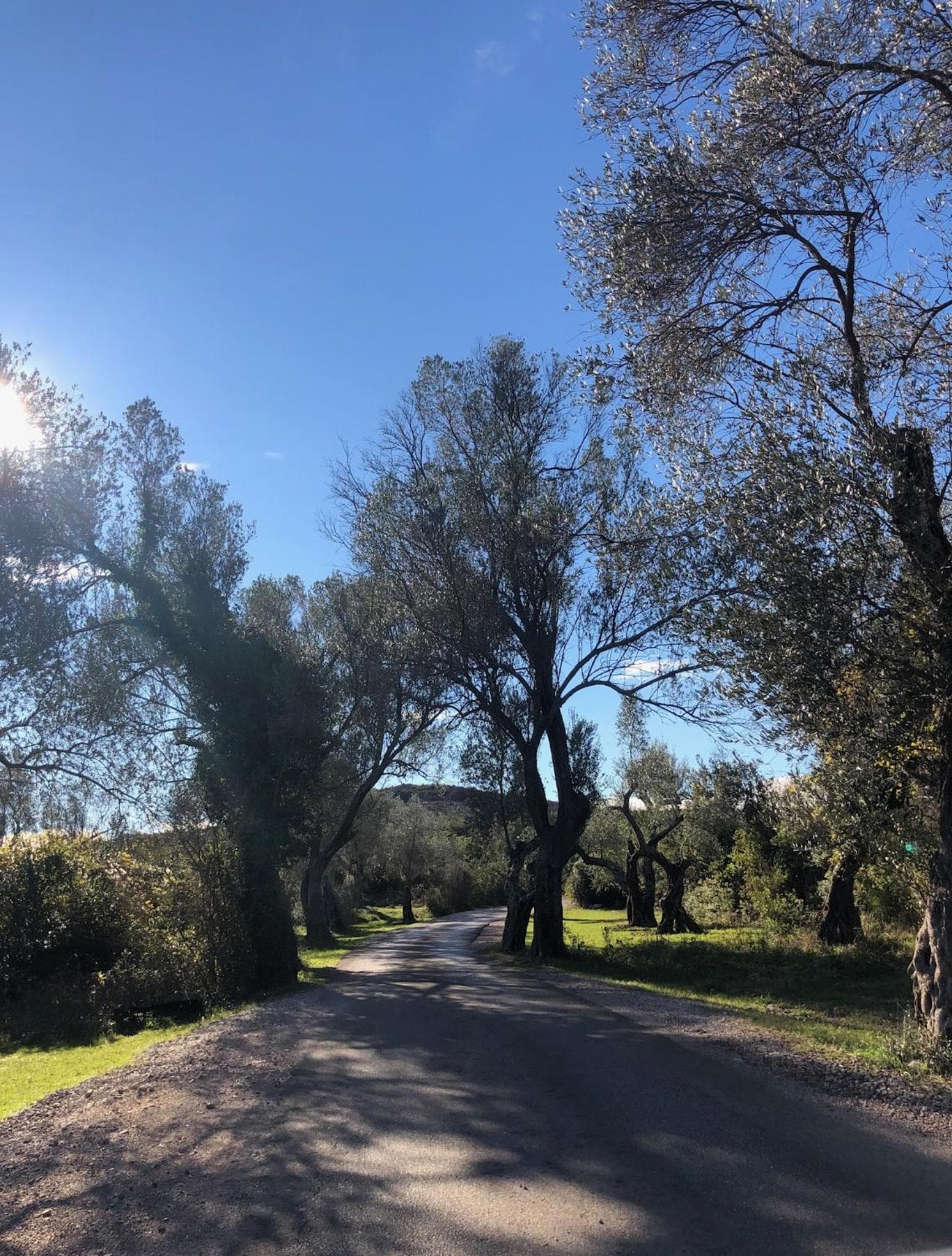 Klinci Village Resort, Lustica, photo 2