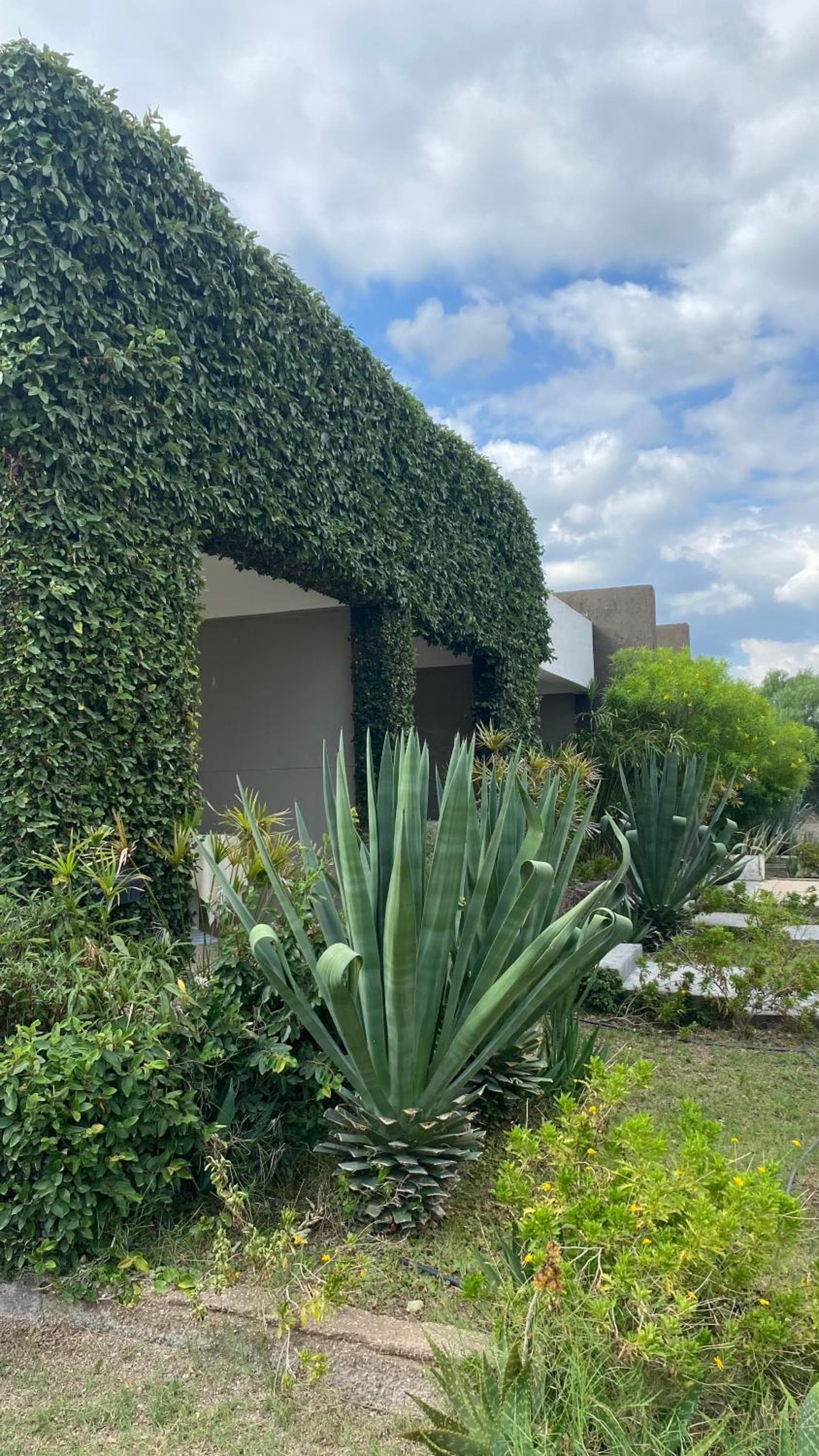 QHAWANA CABAÑAS & SUITES, La Rioja