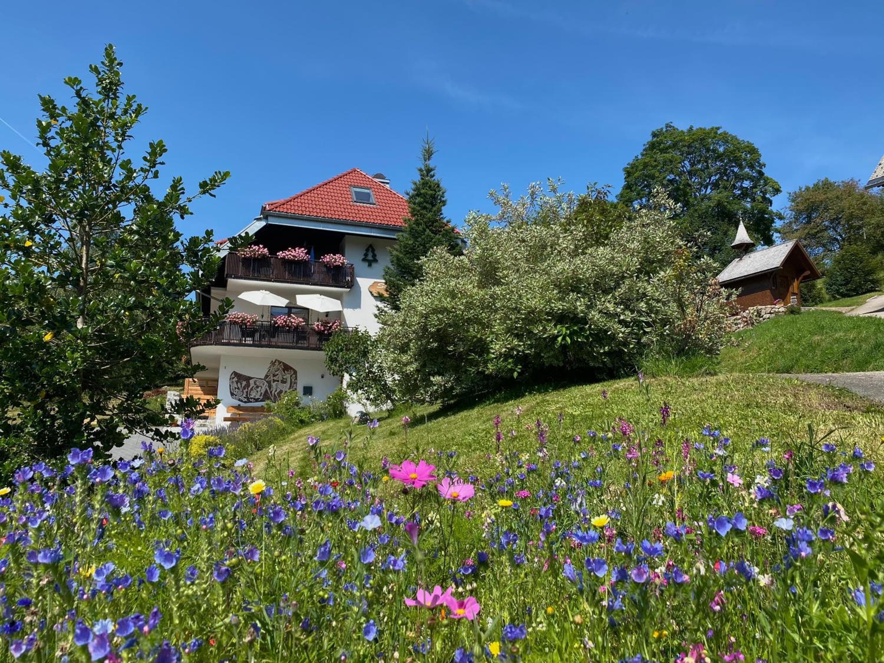 Schwarzwald-Hotel Kraeutle, Feldberg