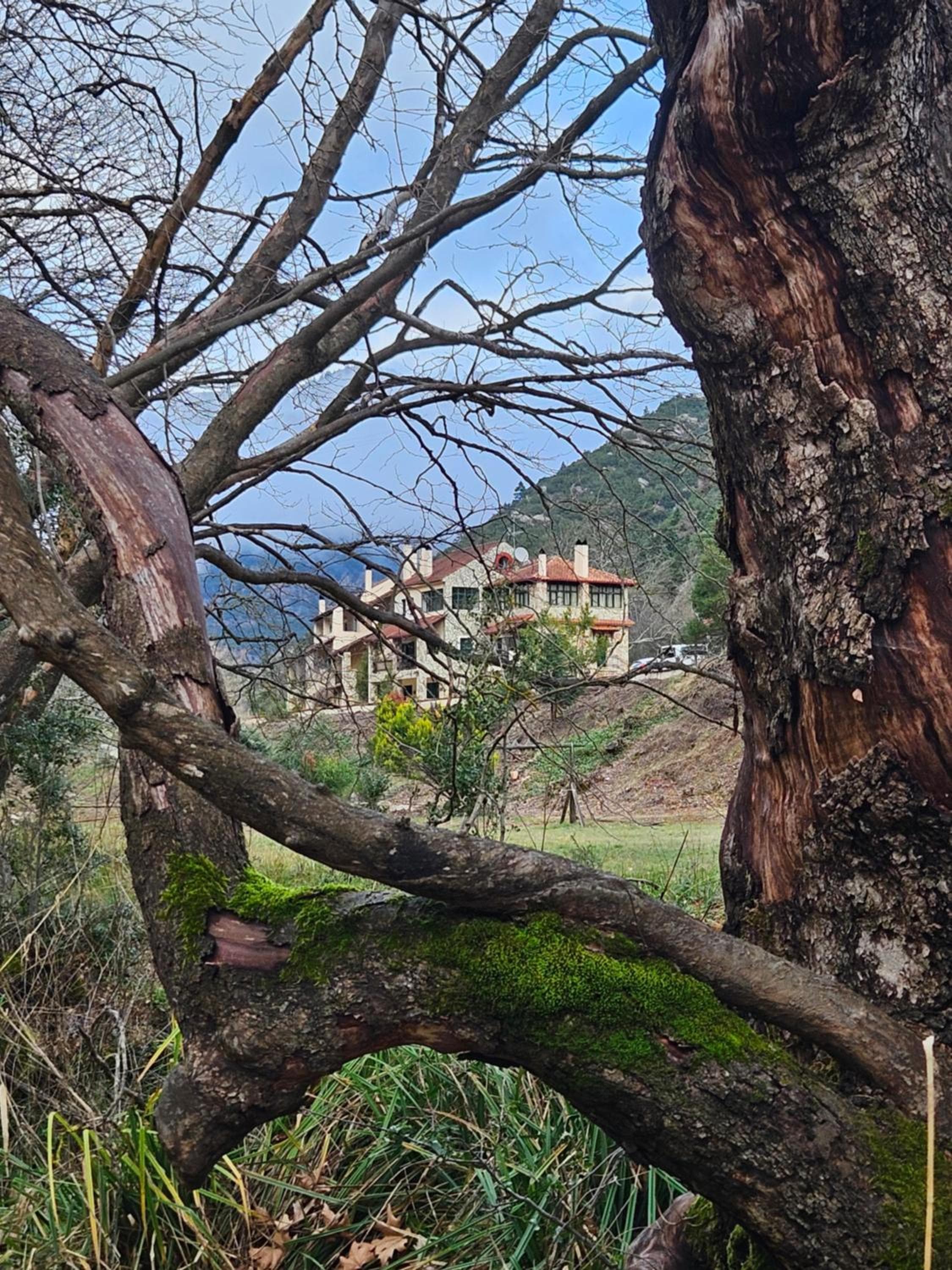Muntenia Inn Apartments and Suites, Kalavrita, photo 5