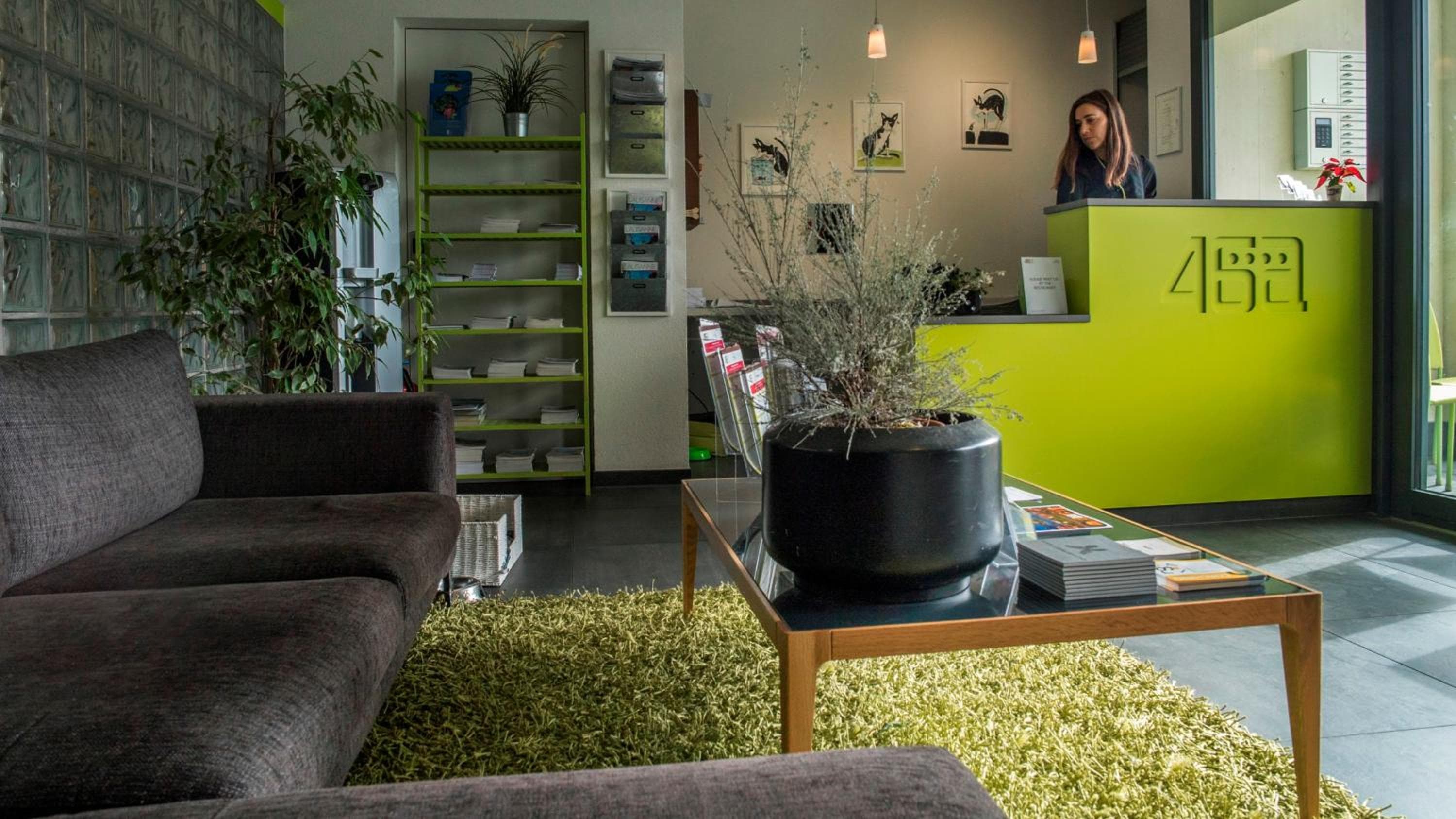 Apart'Hotel 46a, Lausanne, photo 4