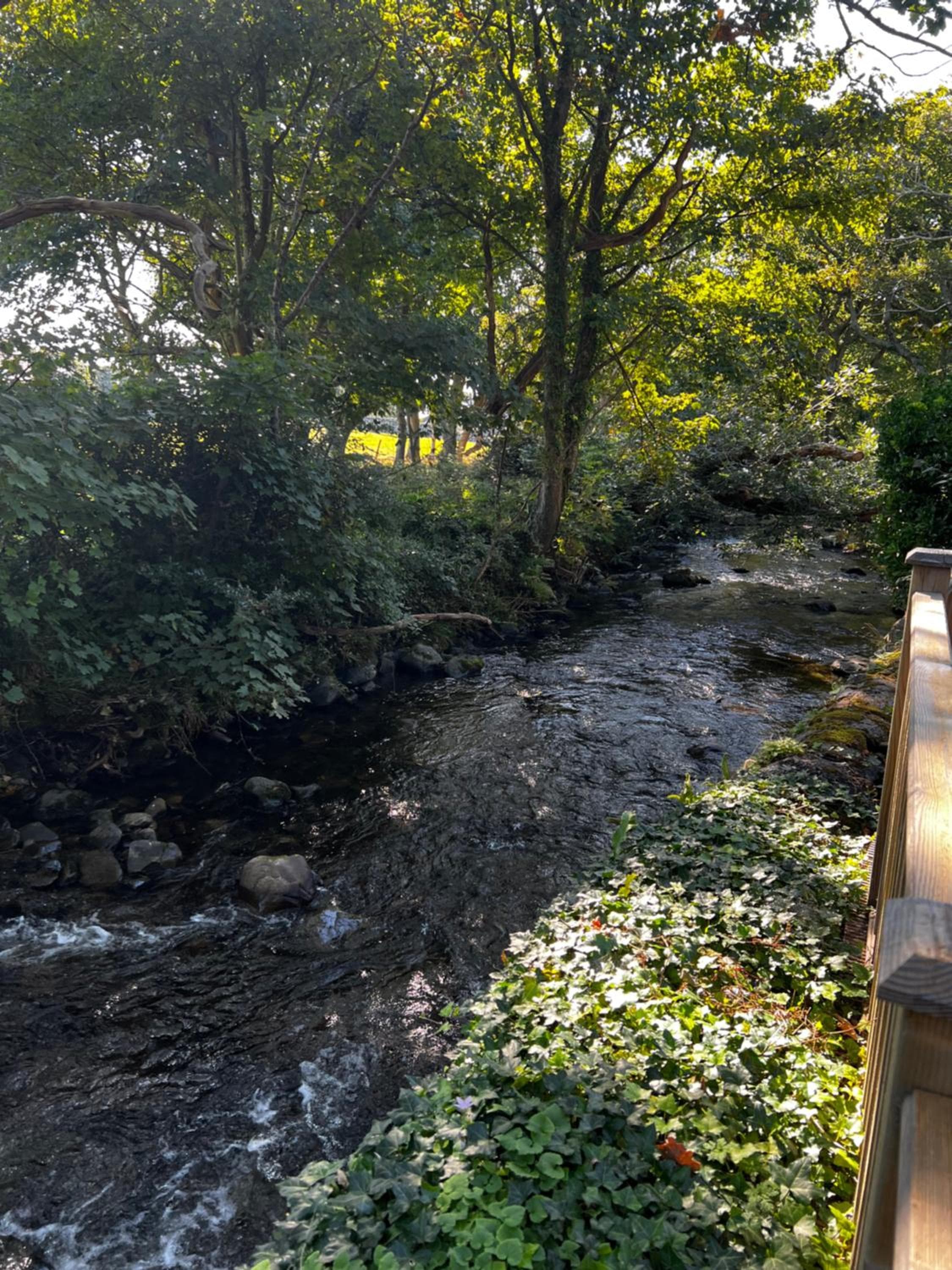 Old Mill Retreat, by River/Sea/Country Nr Barmouth Dogs, Talybont, photo 4