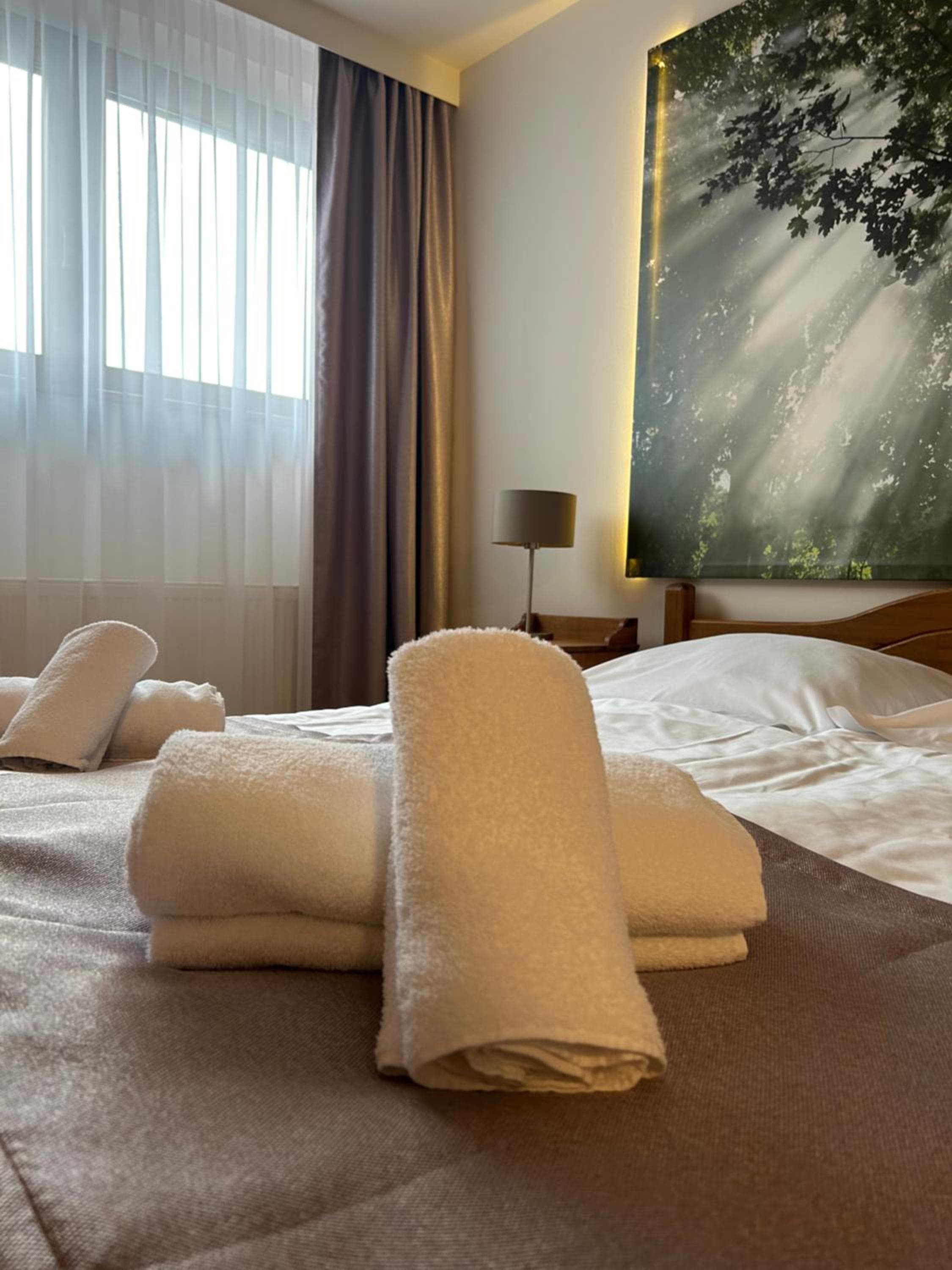 Hotel Vesta Centrum Konferencyjno Wypoczynkowe, Jeleśnia, photo 4