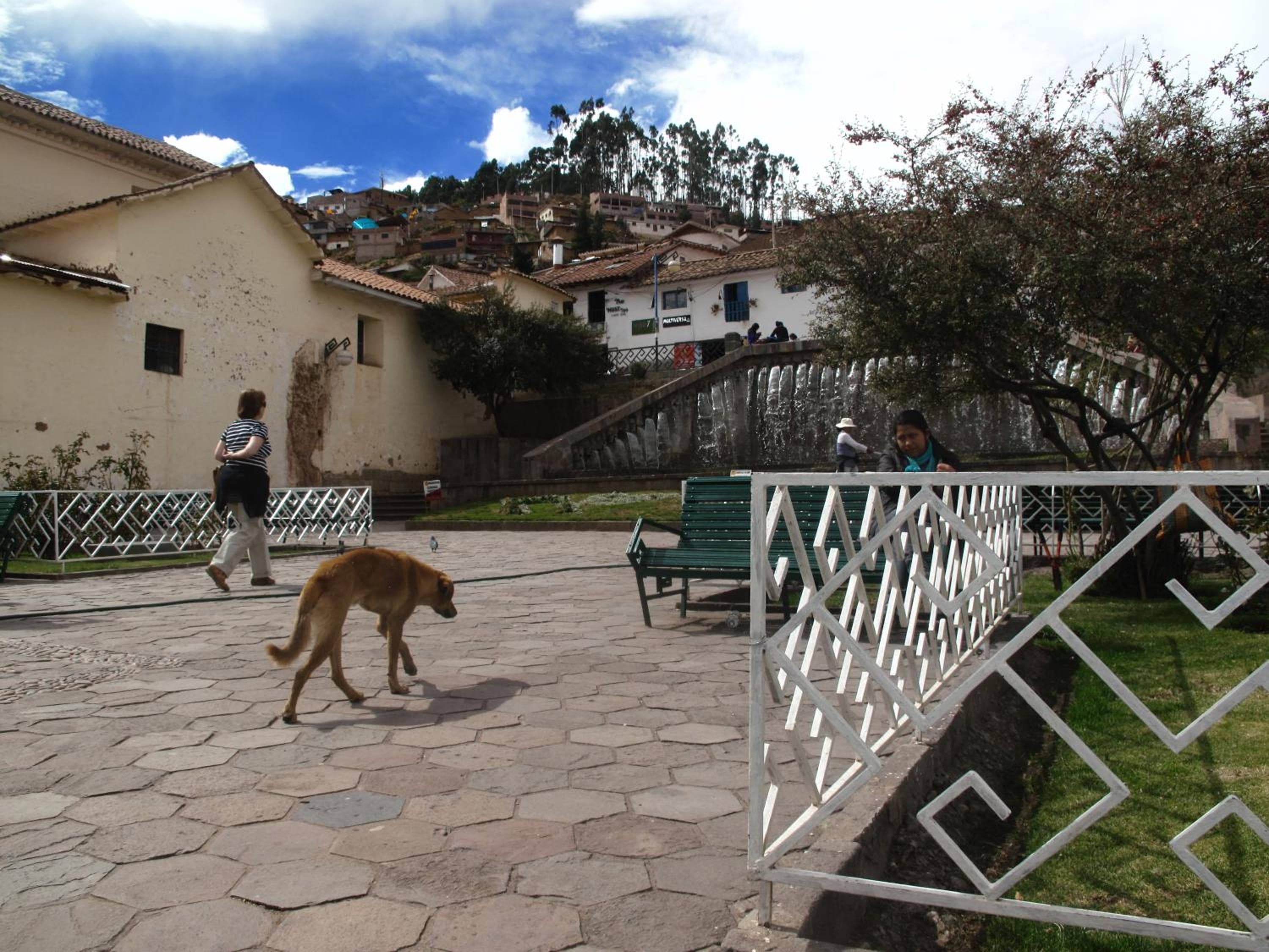 Casa De Mama Cusco - The Treehouse, Cusco, photo 2