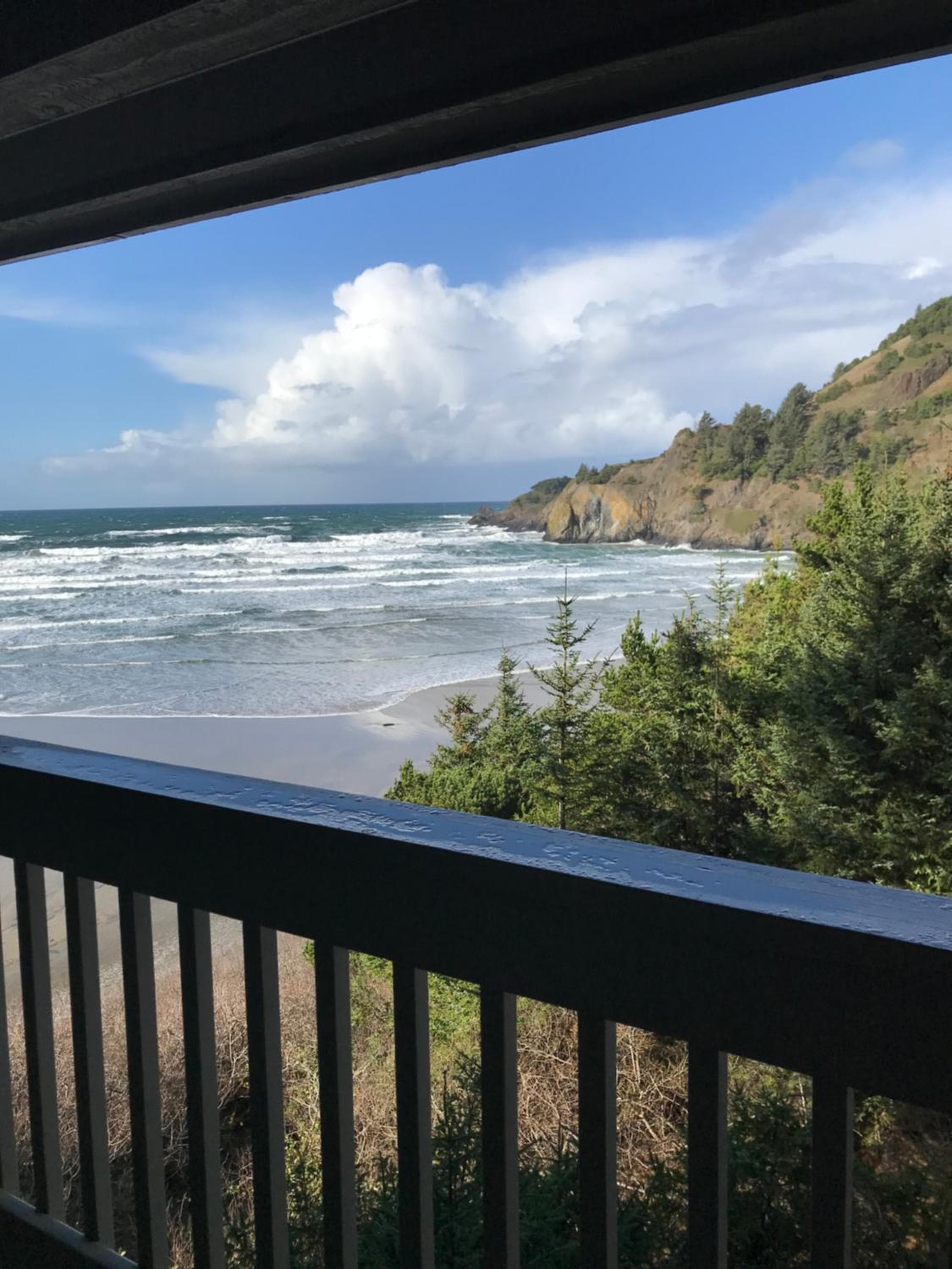 Starfish Point, Newport, photo 3