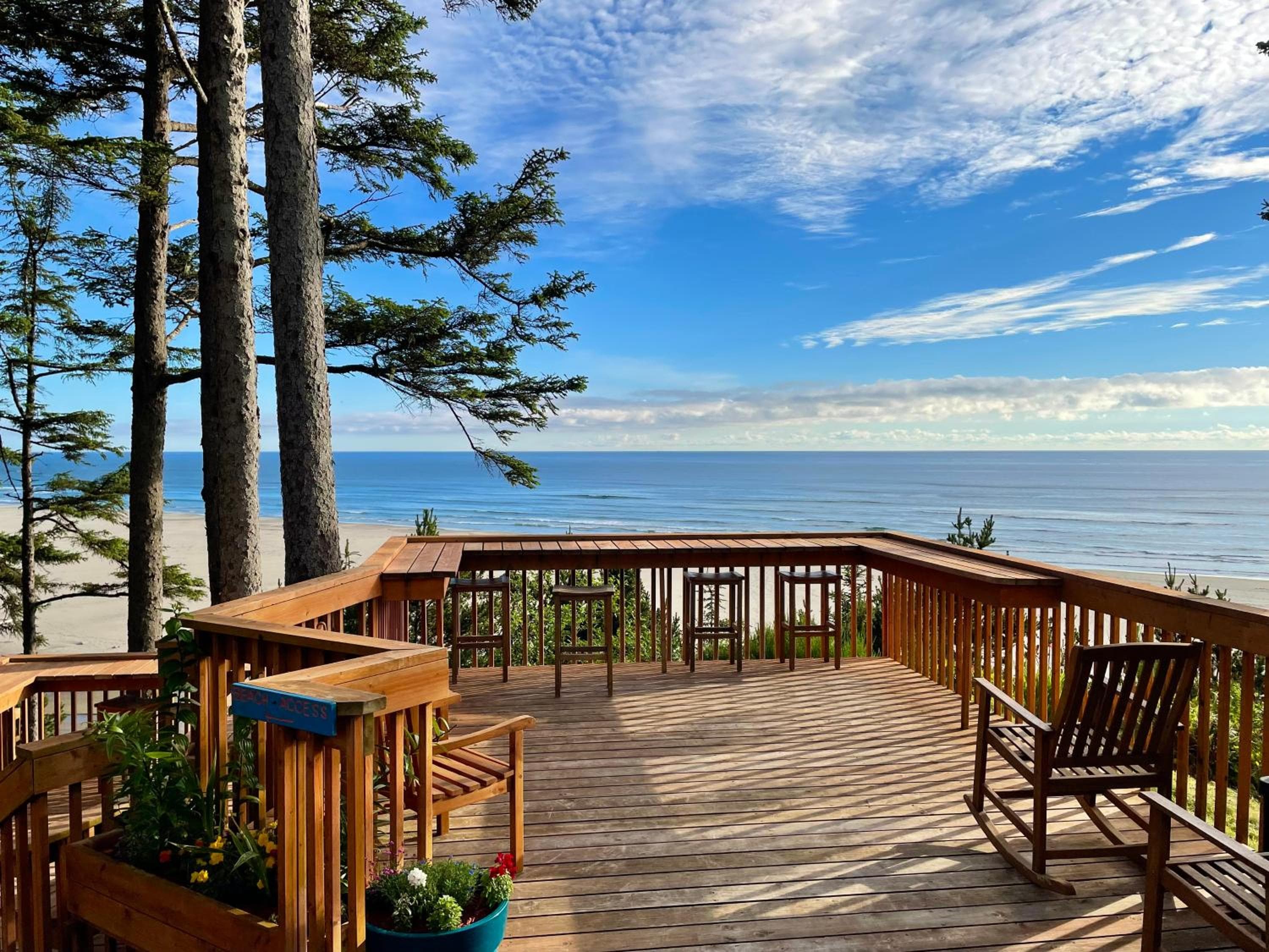 Starfish Point, Newport, photo 4