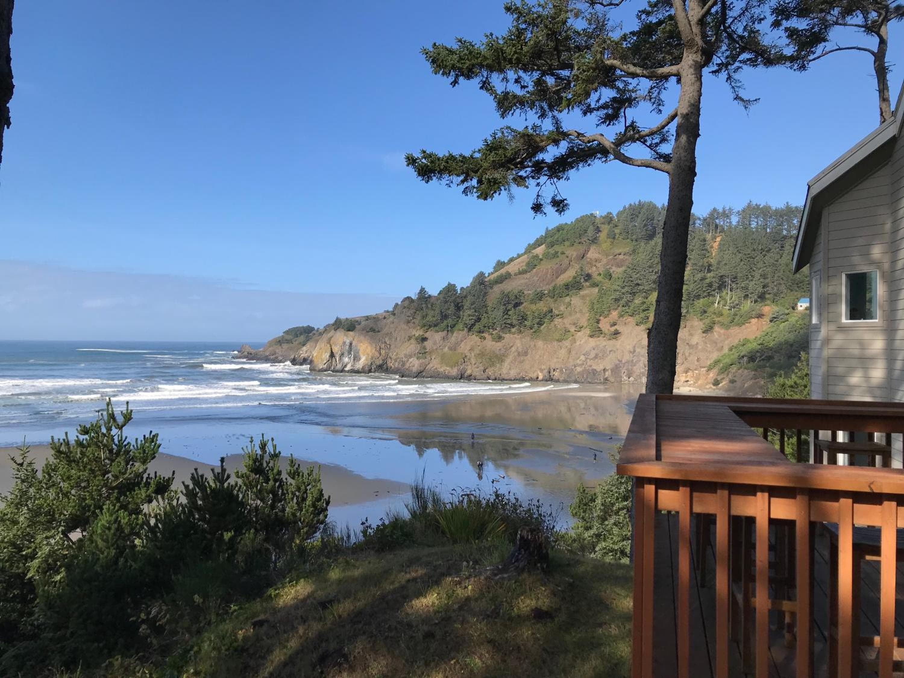 Starfish Point, Newport, photo 5