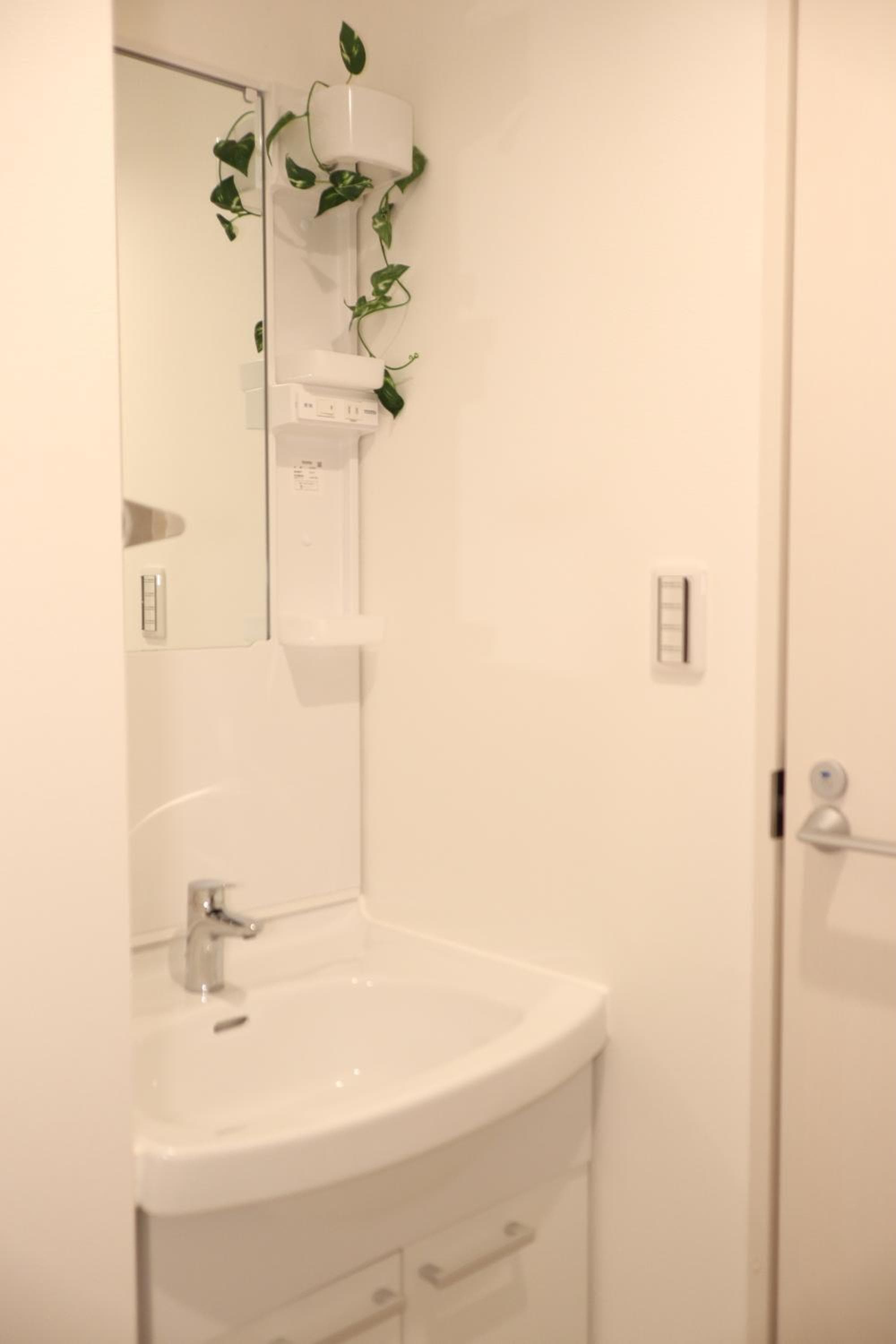 IXO Ts2, Tokyo, photo 6