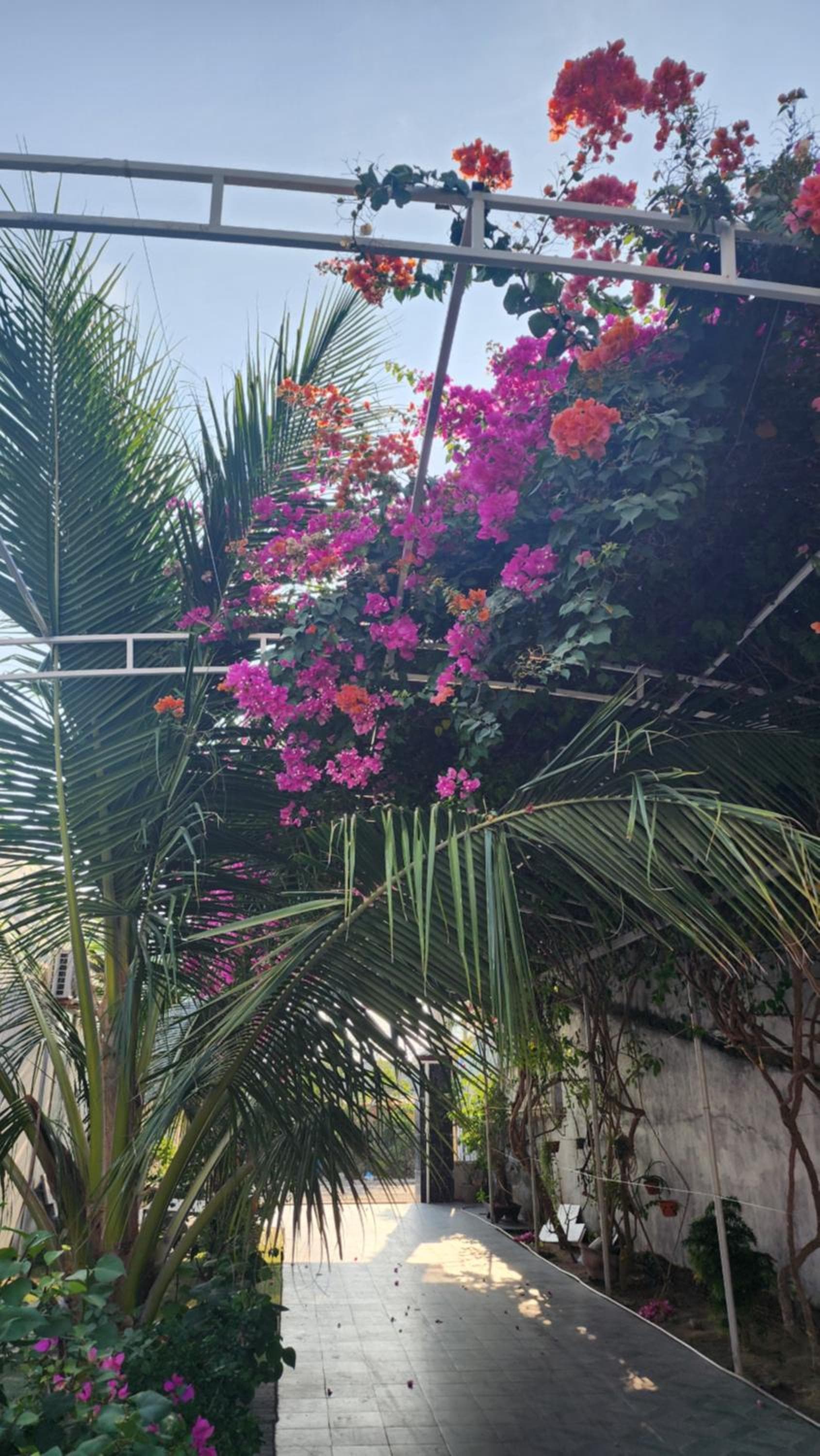 Khách sạn An Thịnh, My Luong, photo 5