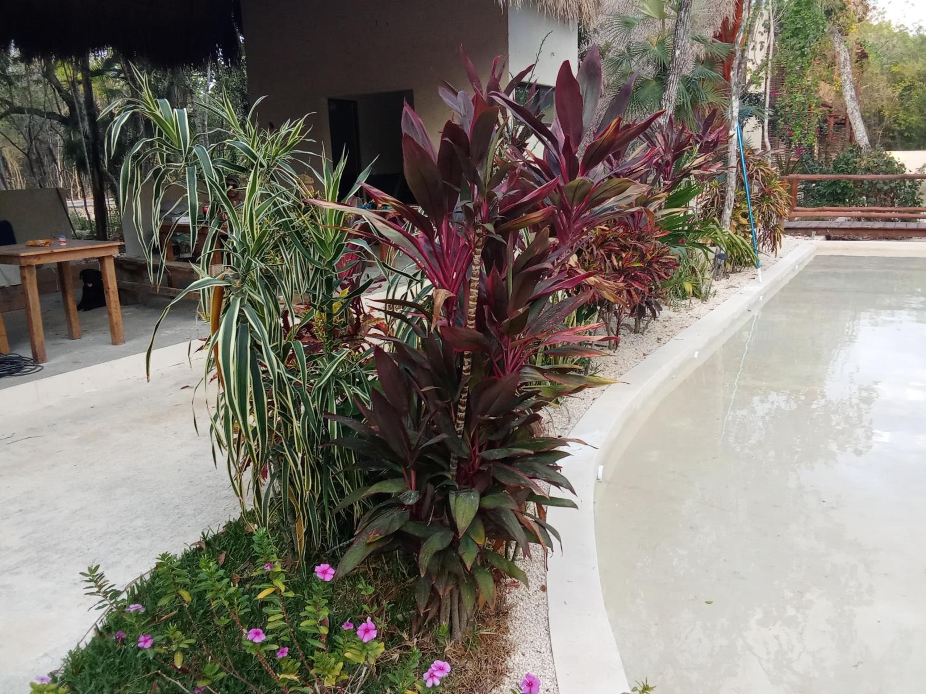 Villas AHAL,, Chemuyil, photo 6