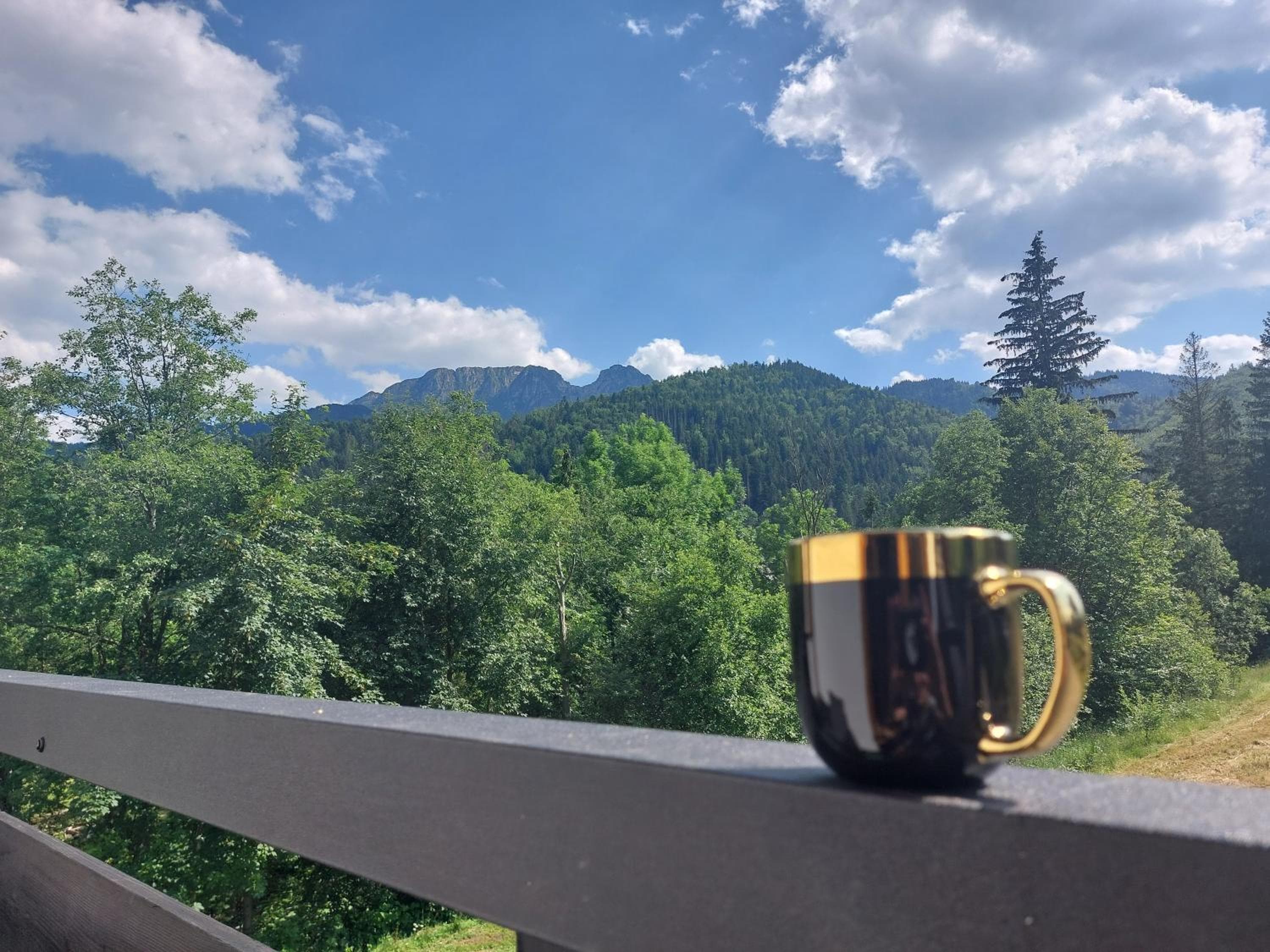 Willa Zielone Wzgórze - Zakopane - Luksusowe apartamenty, Zakopane, photo 5