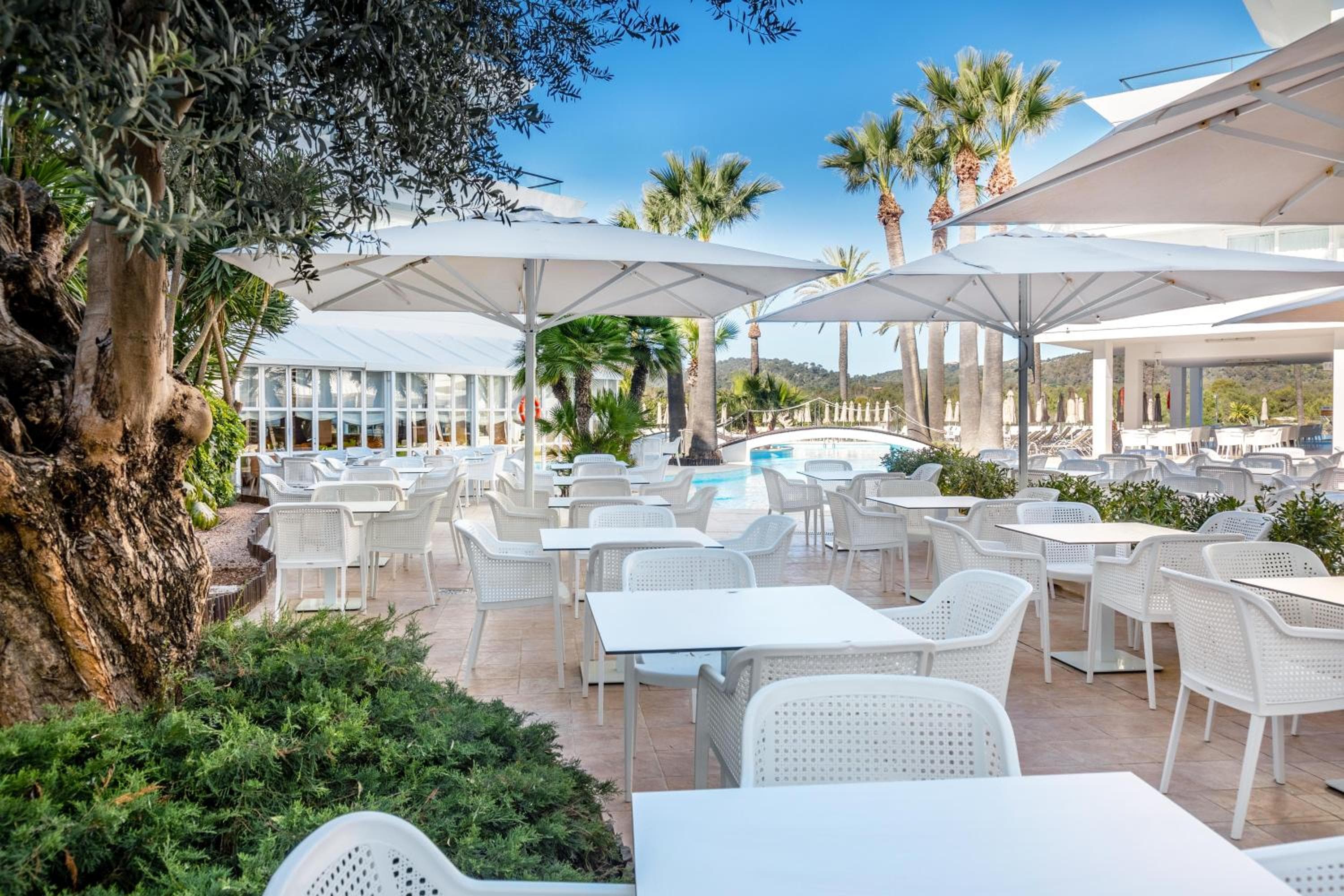 VIVA Eden Lago, Port d'Alcudia, photo 3