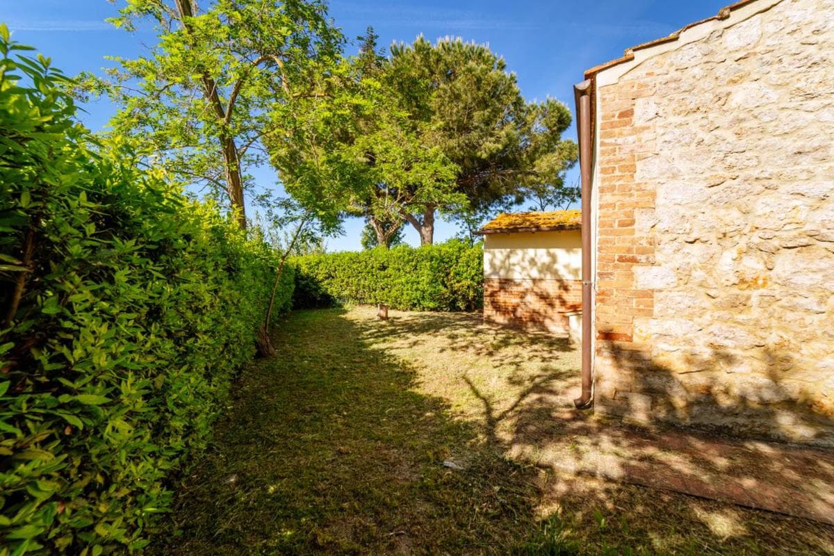 Agriturismo Bio San Mamiliano, Grosseto, photo 2