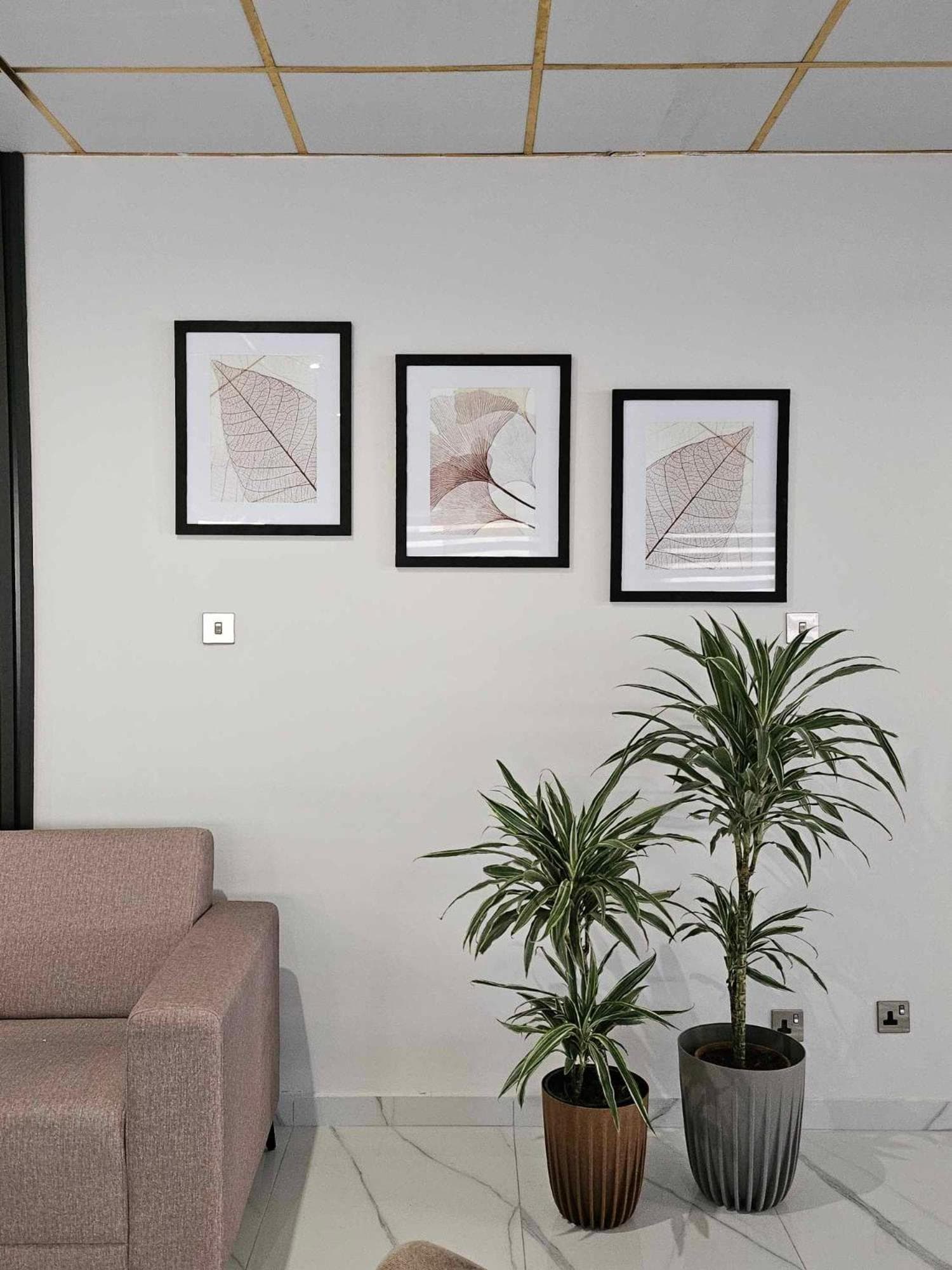 Polyxeni Hotel Apartments, Limassol, photo 4