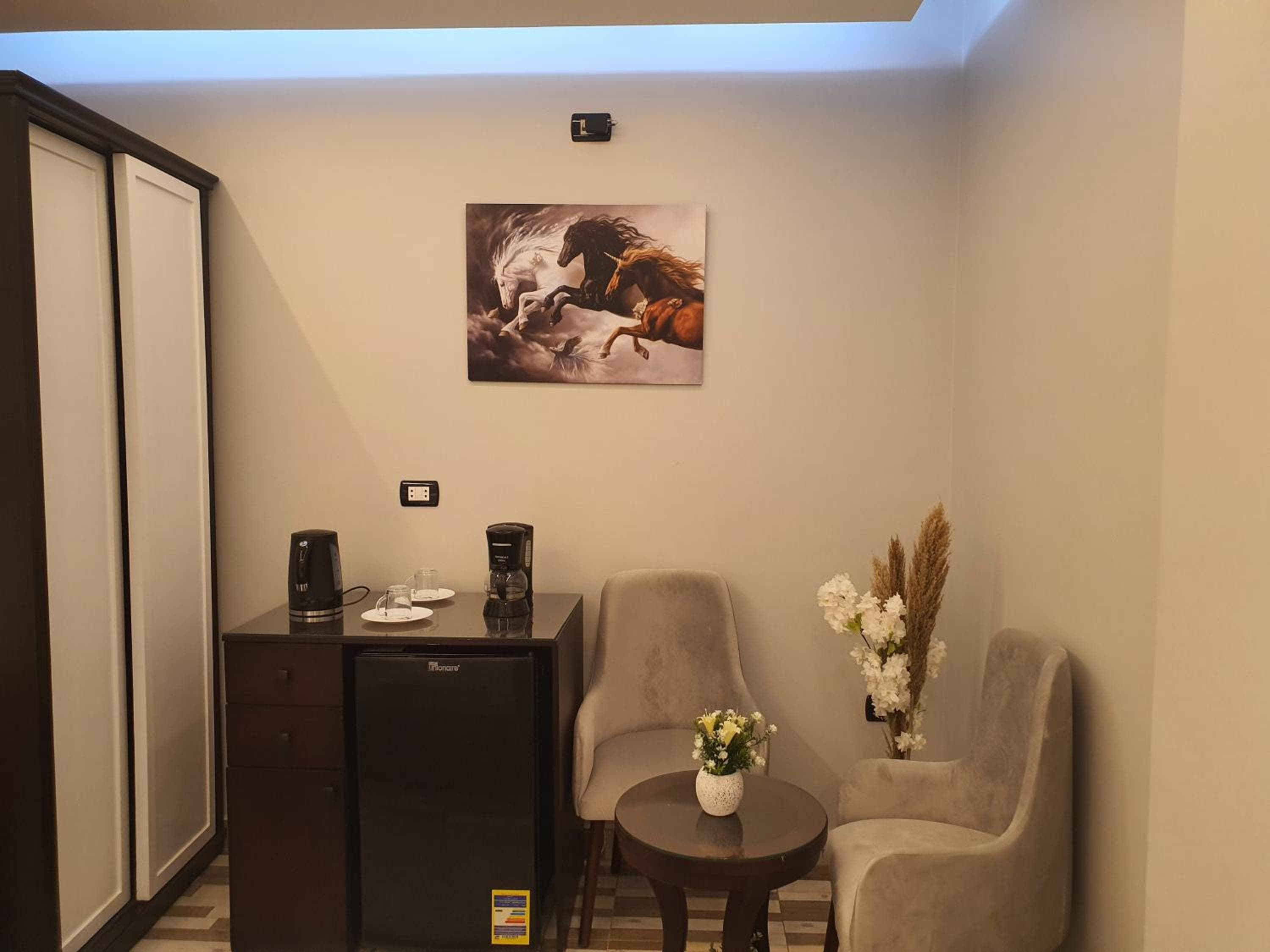 Youvala serviced apartment Giza, Cairo, photo 5