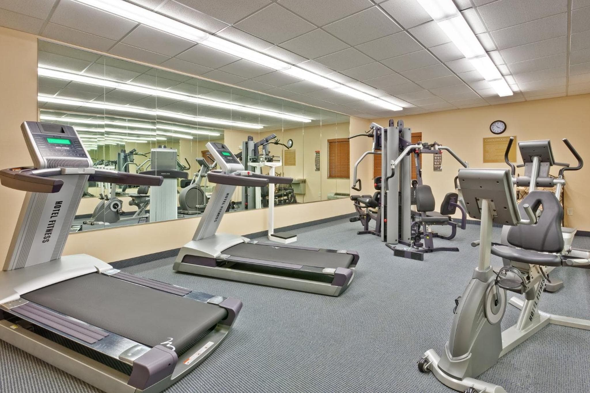 Candlewood Suites Murfreesboro by IHG, Murfreesboro, photo 4