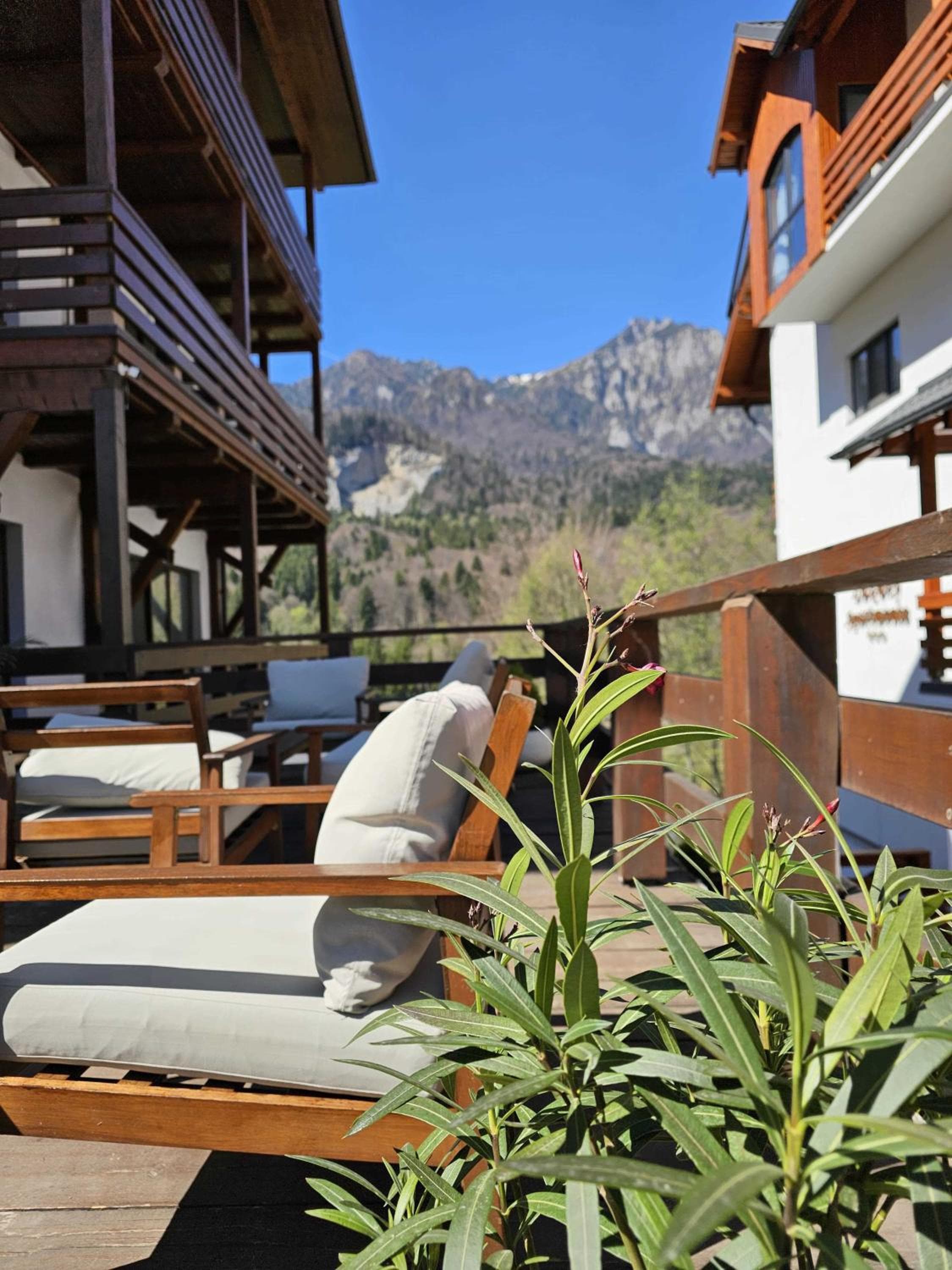Yael Luxury Apartments 3, Buşteni, photo 5