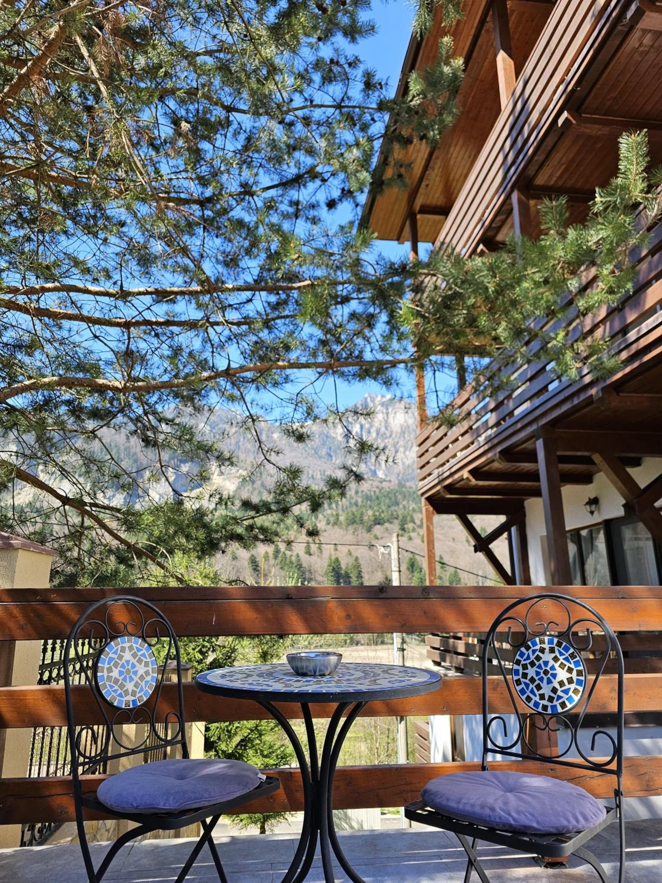 Yael Luxury Apartments 3, Buşteni, photo 6