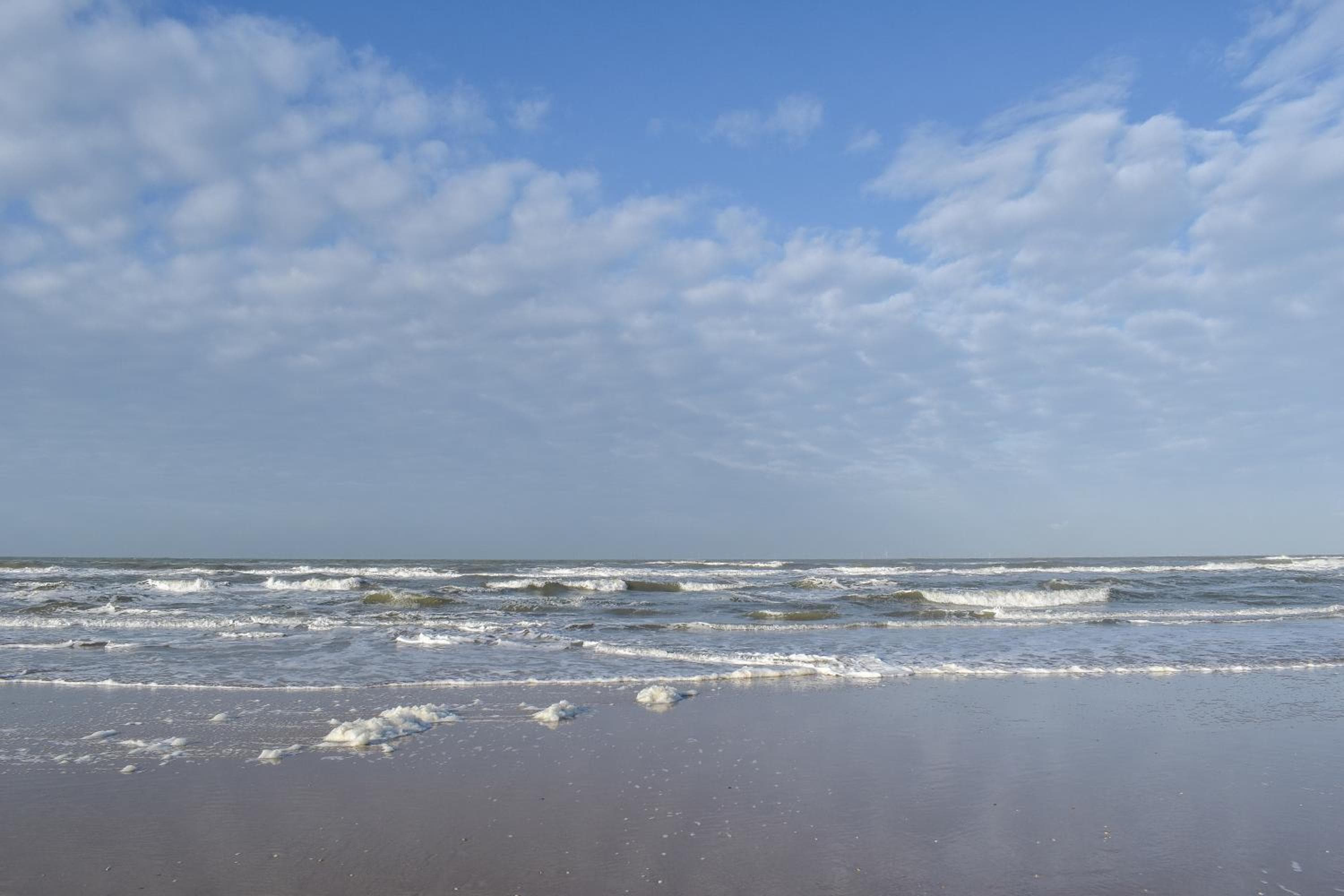 Strandhuisjes Zoomers aan Zee, Castricum, photo 5