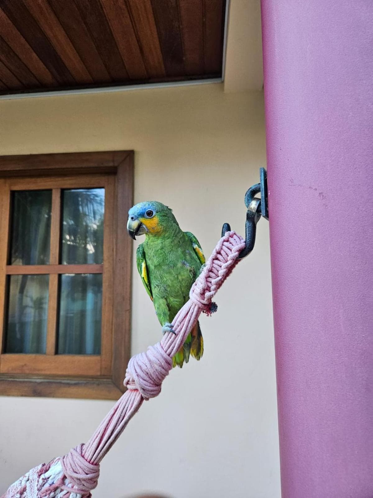 Pousada Destino, Porto de Sauipe, photo 5