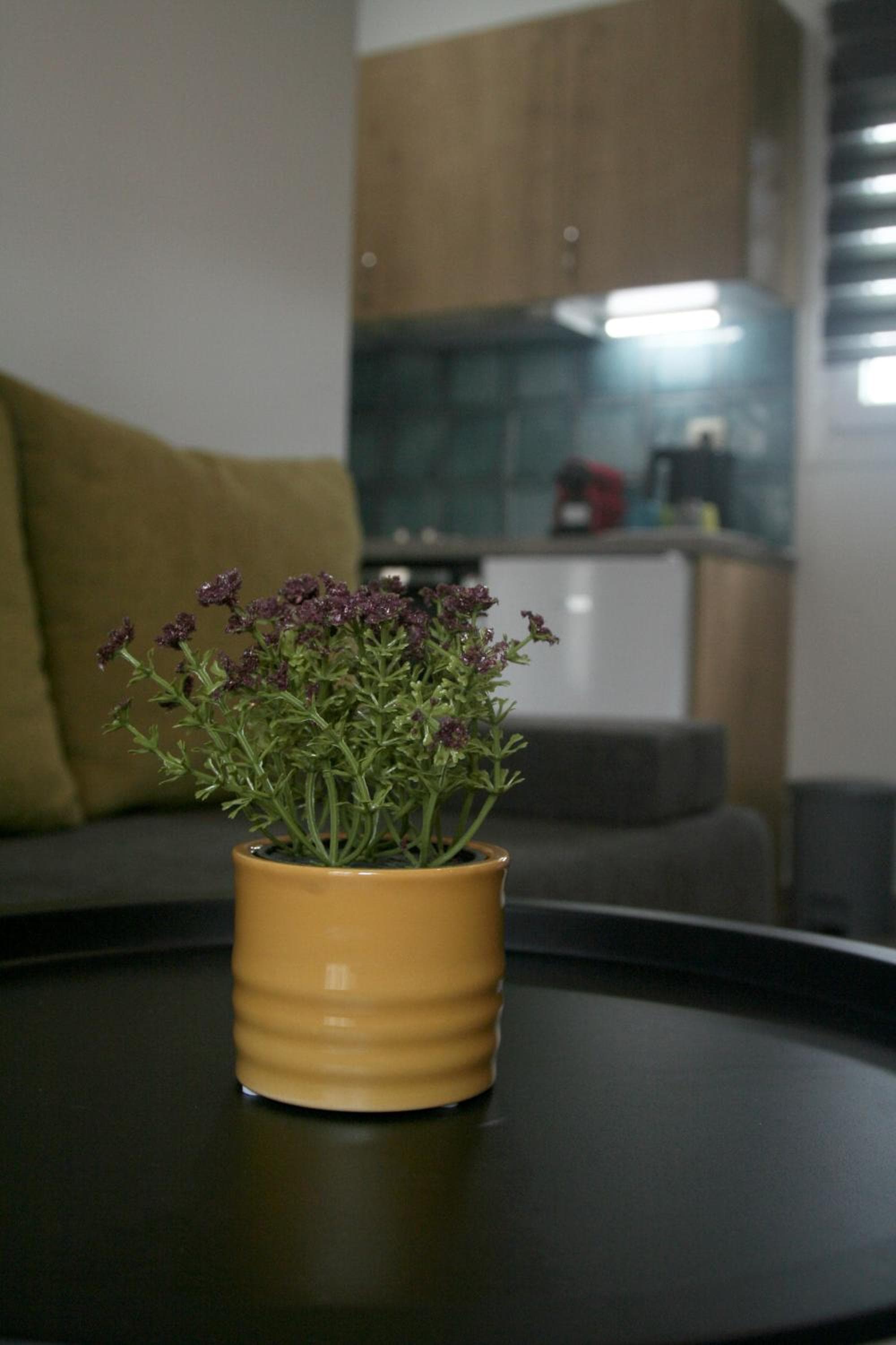 Mistral Studios, Fanárion, photo 3