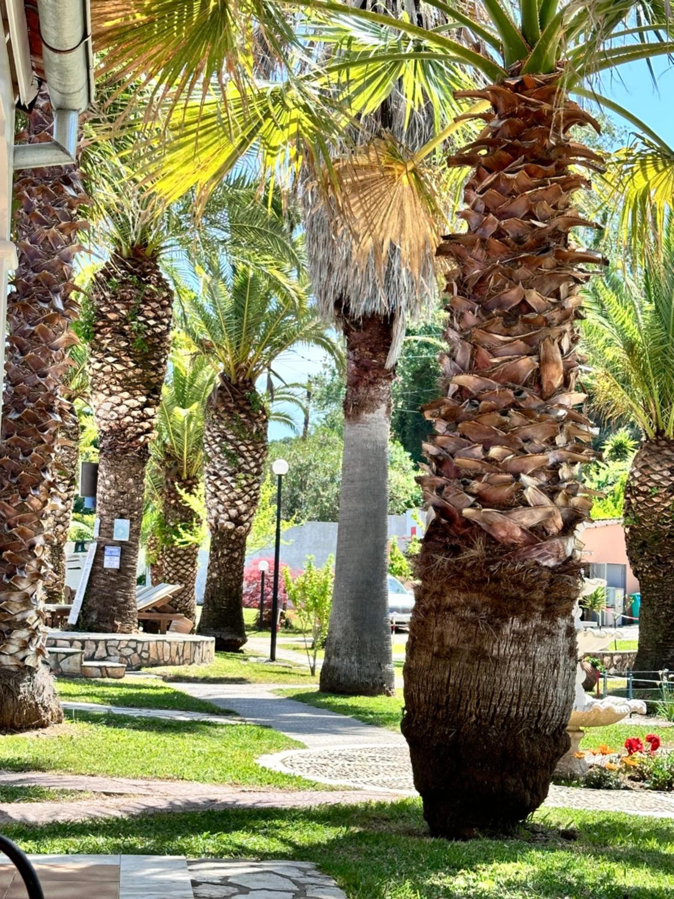 ABC Sweet Home, Sidari, photo 6