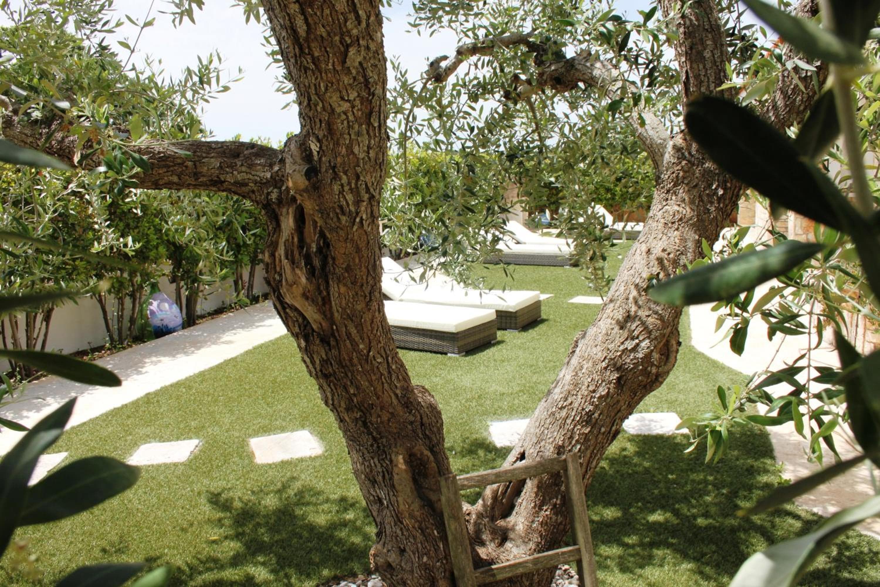 La linea dell'orizzonte, Alberobello, photo 2